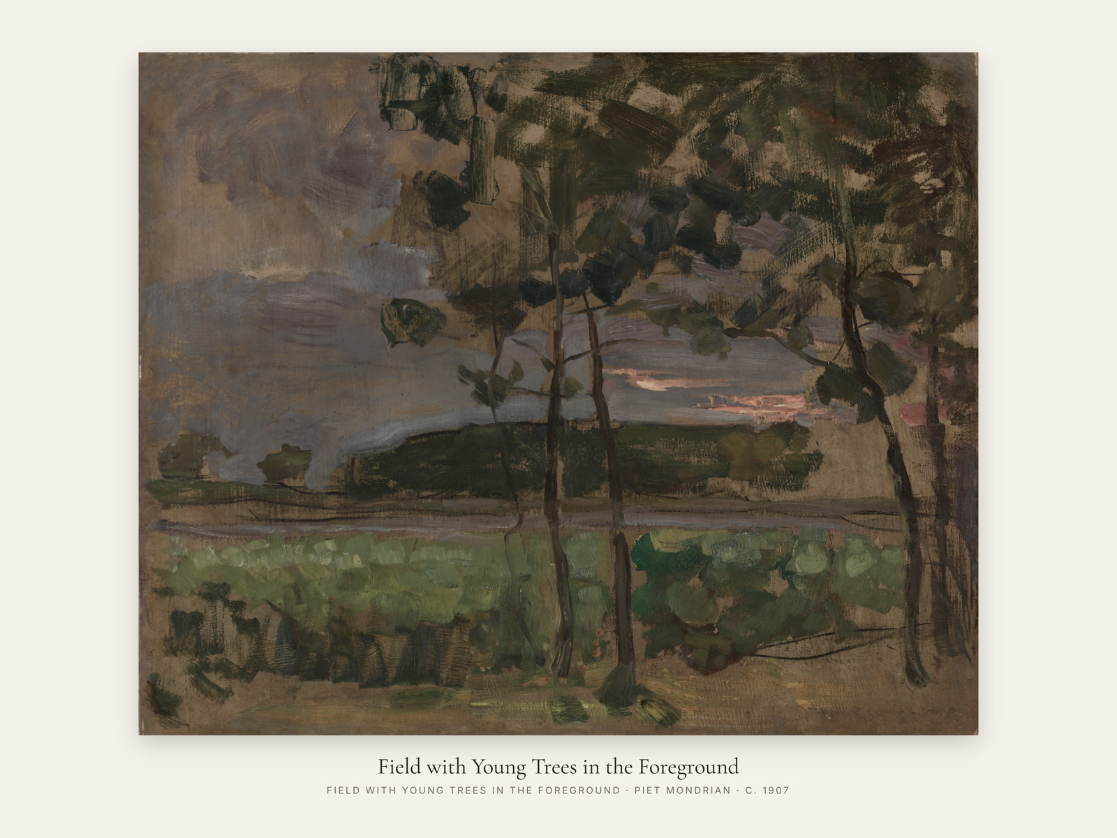 Field with Young Trees in the Foreground