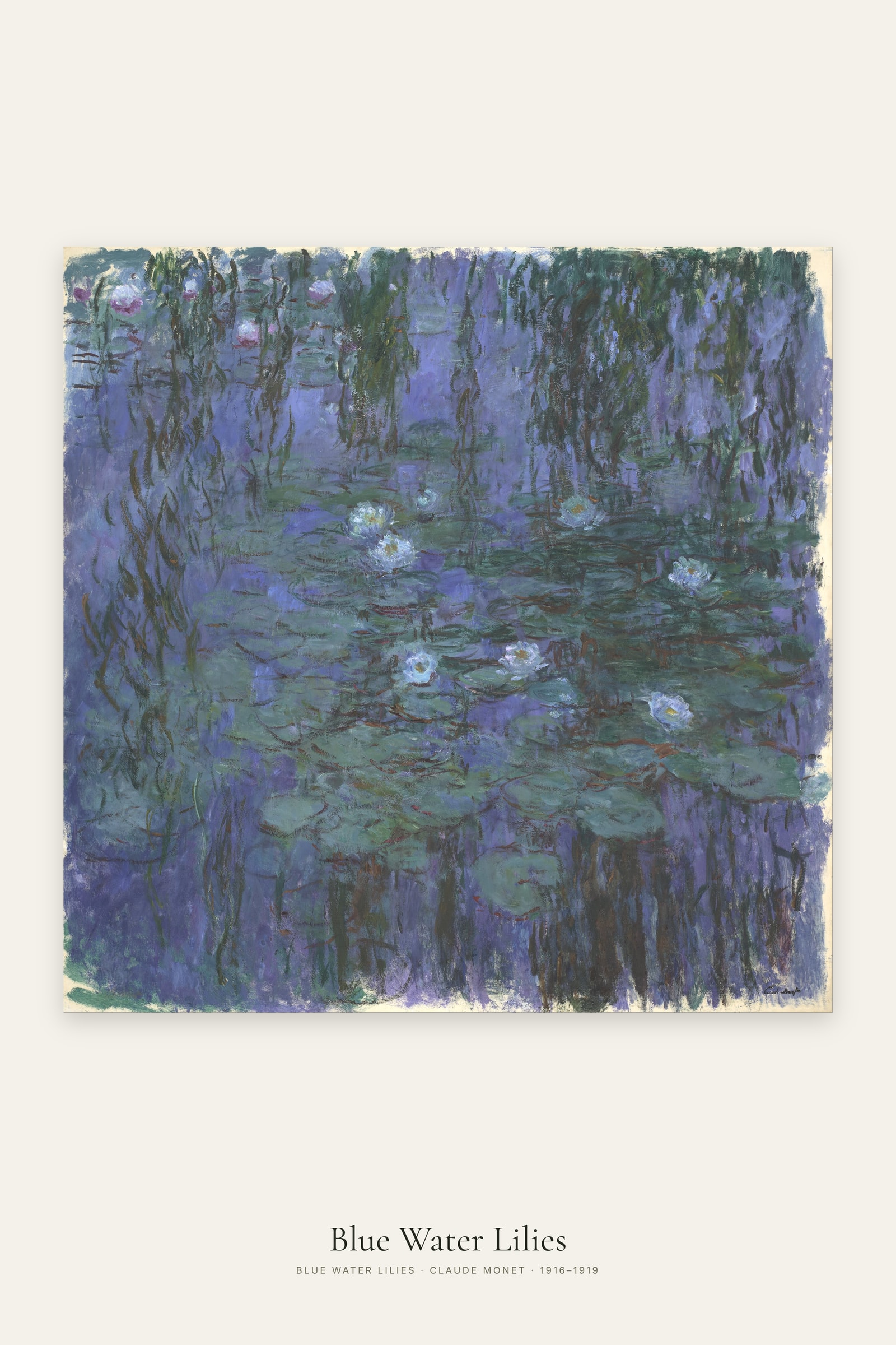 Blue Water Lilies