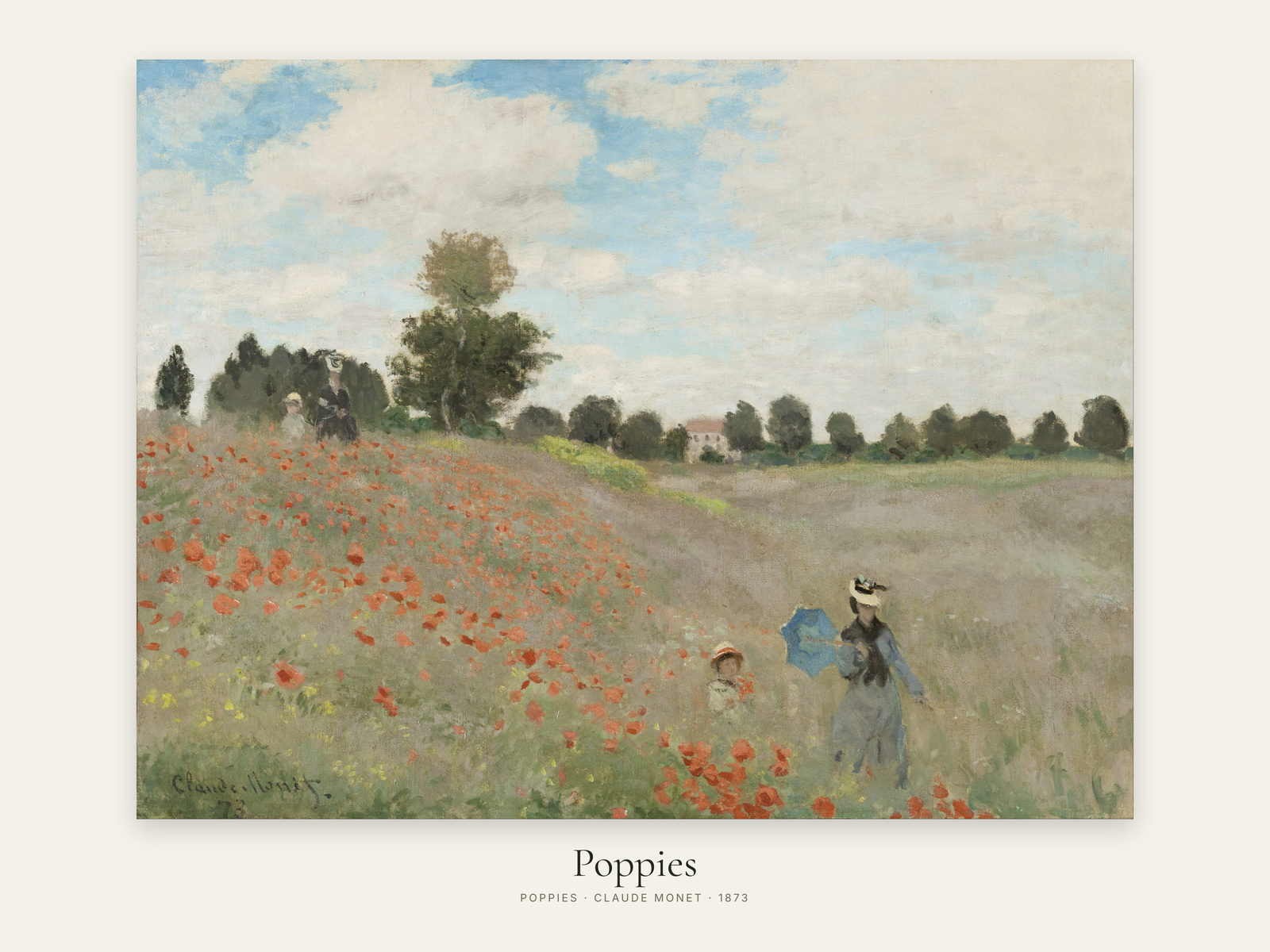 Poppies