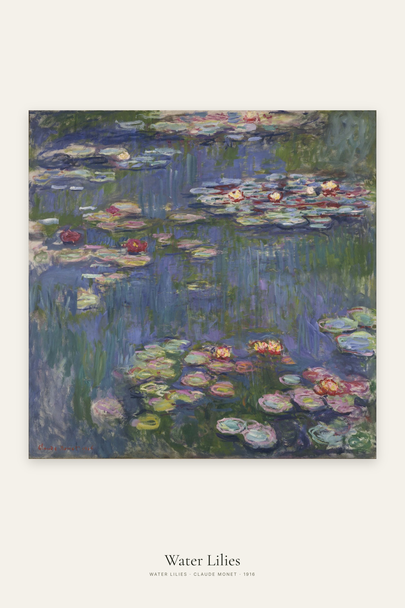 Water Lilies