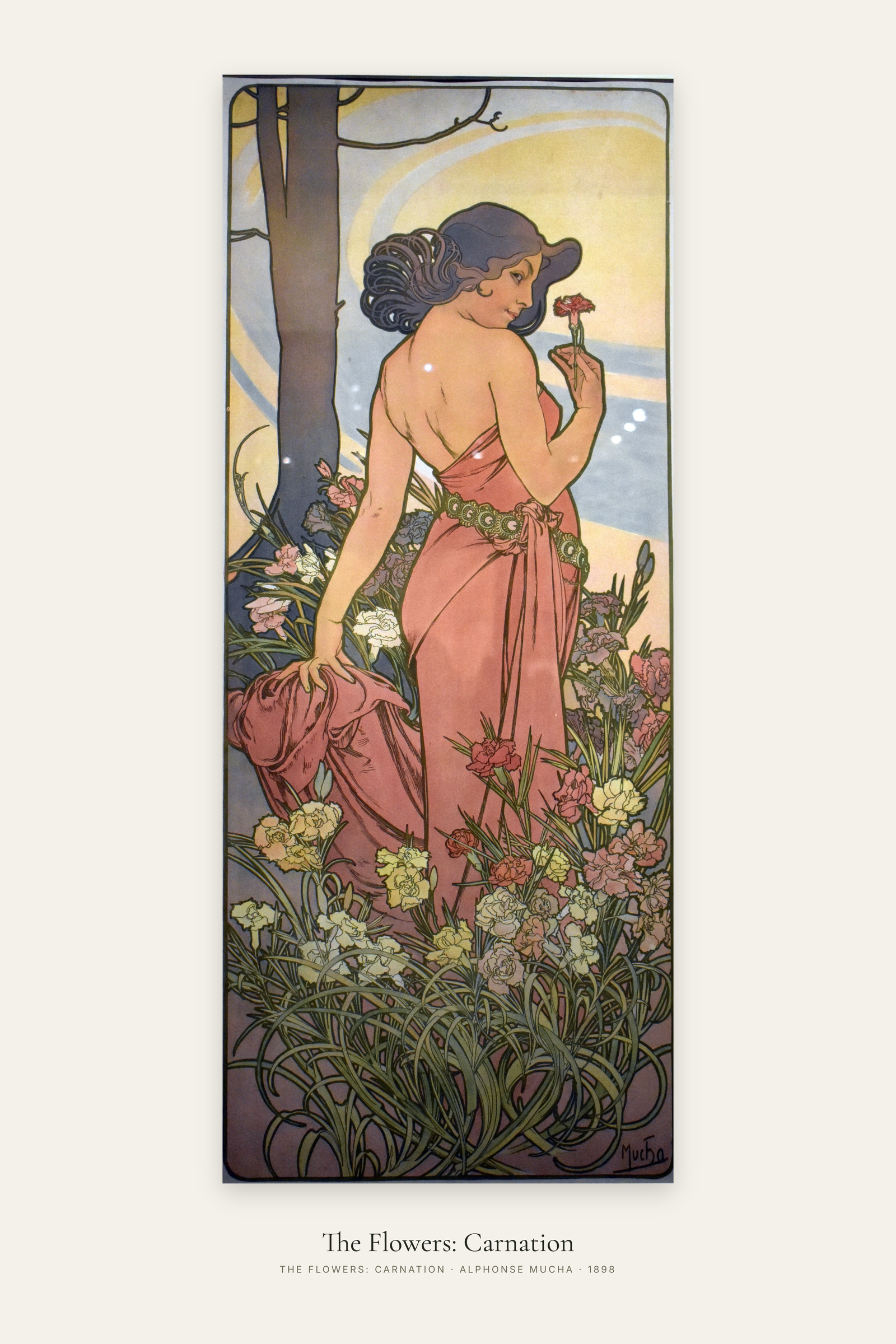 The Flowers: Carnation
