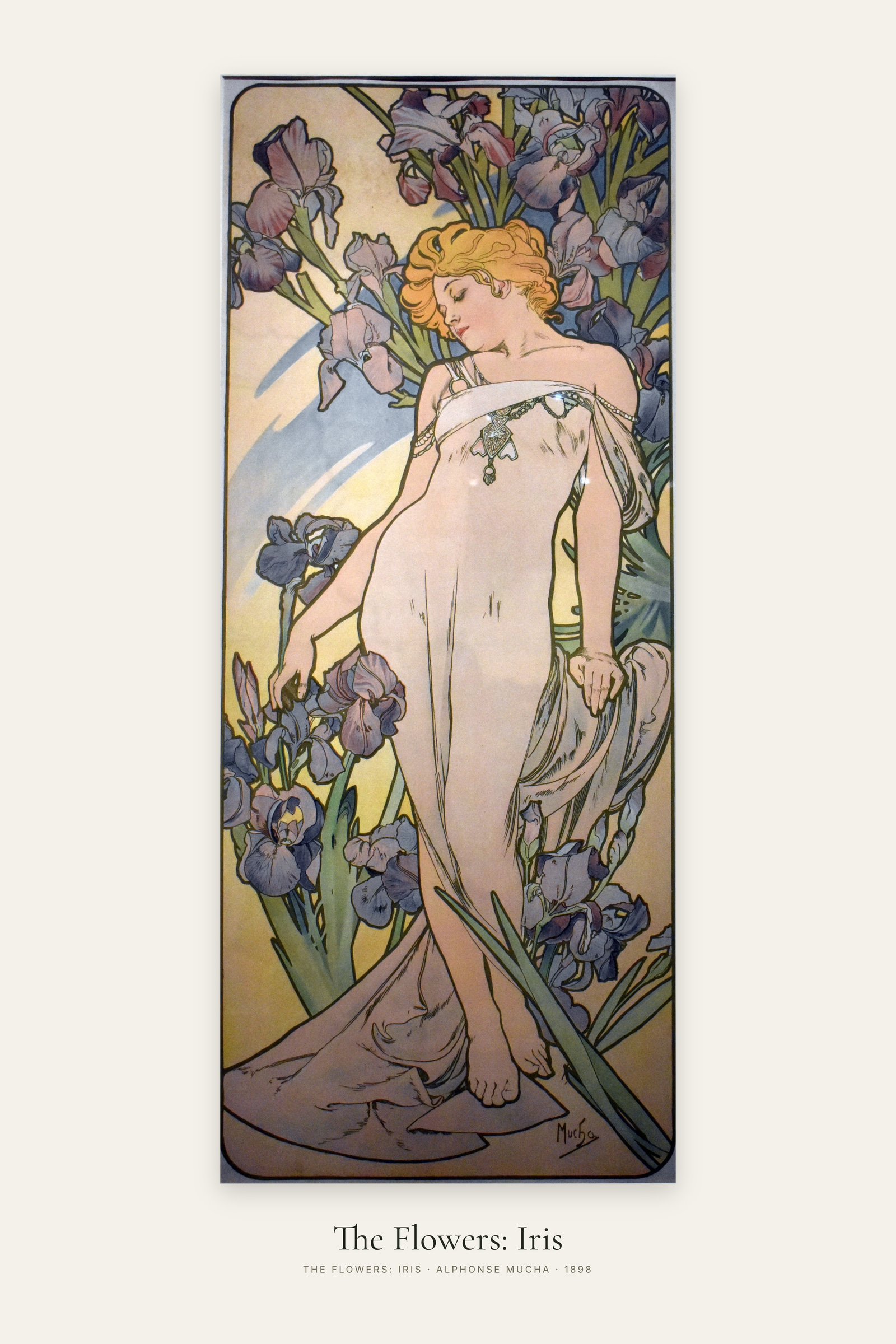 The Flowers: Iris