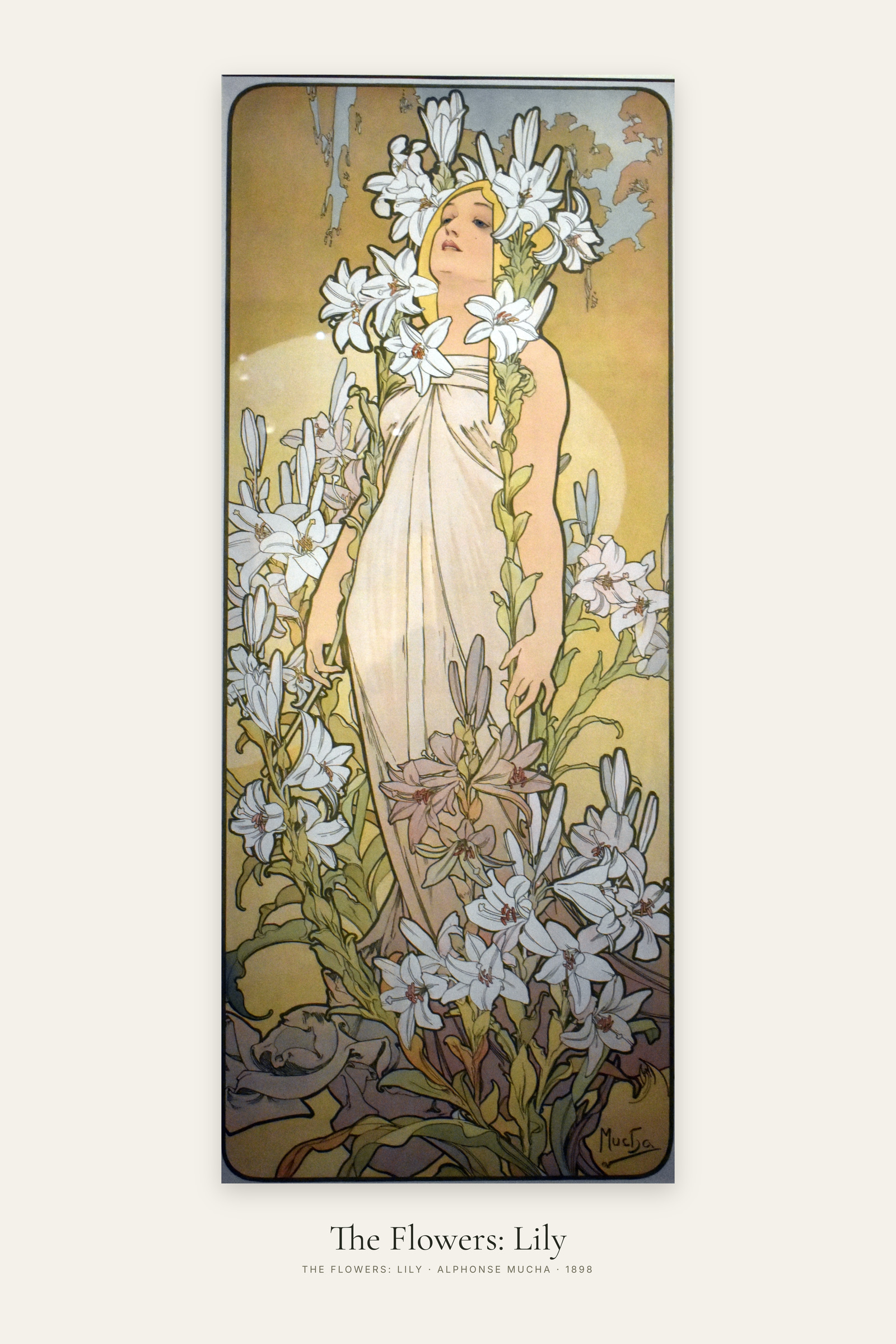 The Flowers: Lily