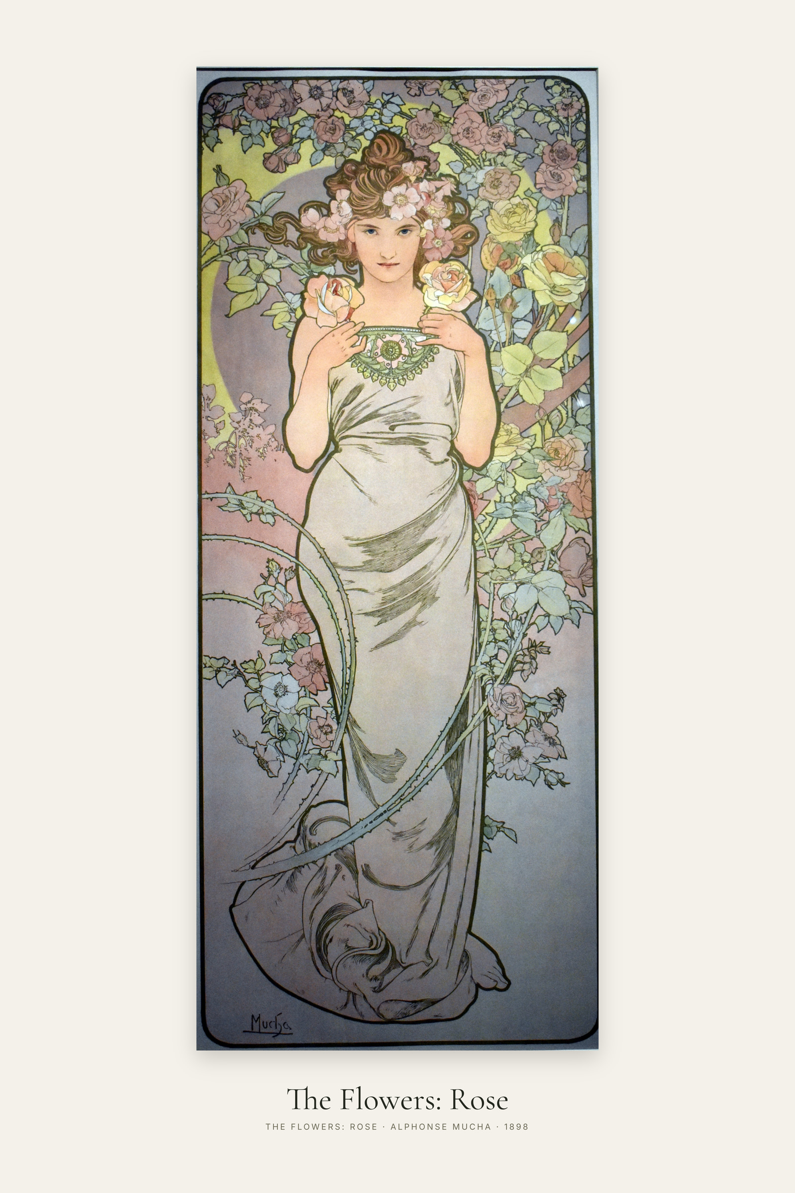 The Flowers: Rose