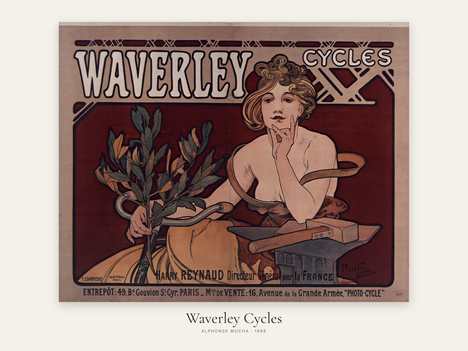 Waverley Cycles