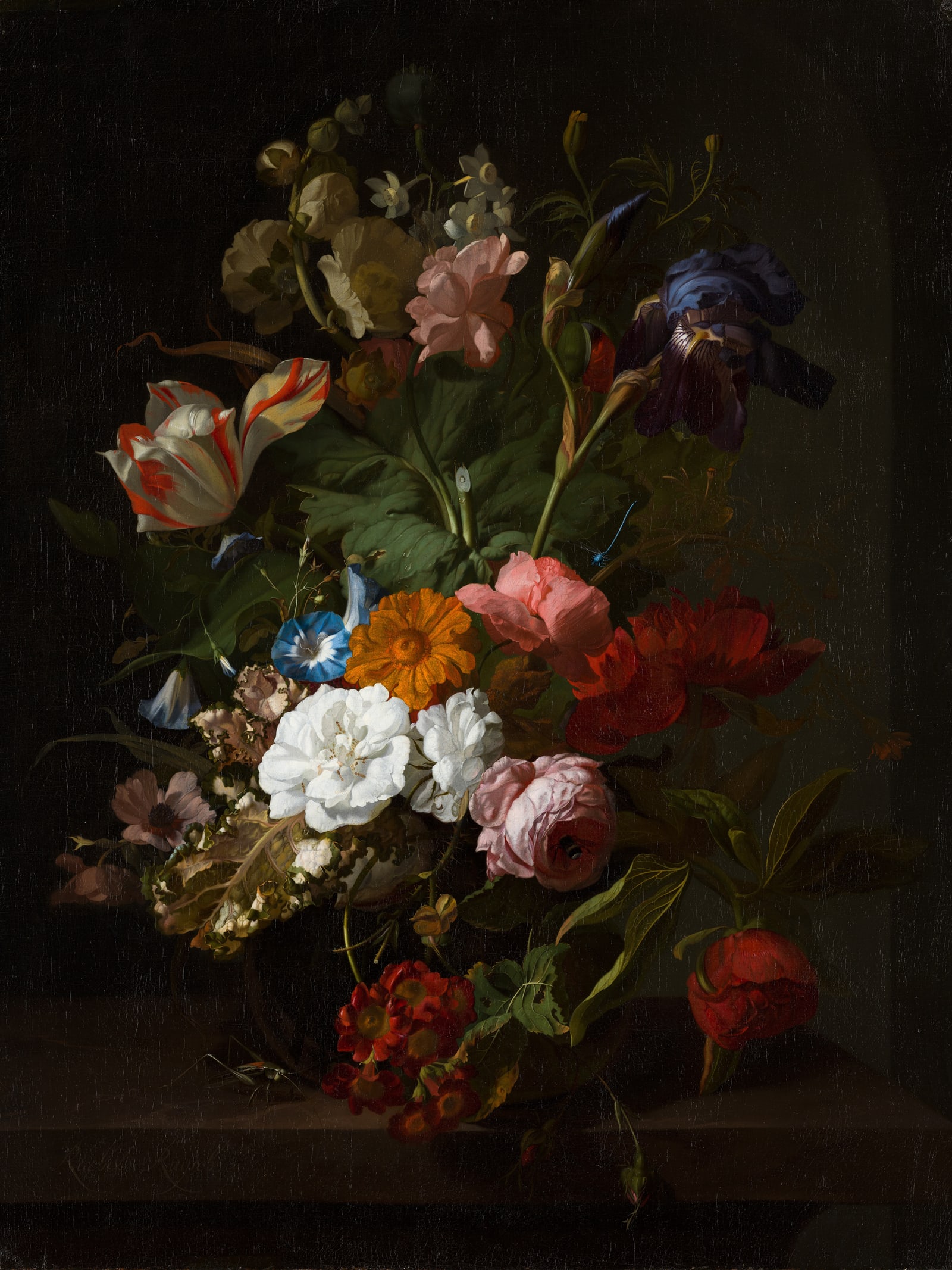 Vase of Flowers (Ruysch Full) — Full-Bleed Edition