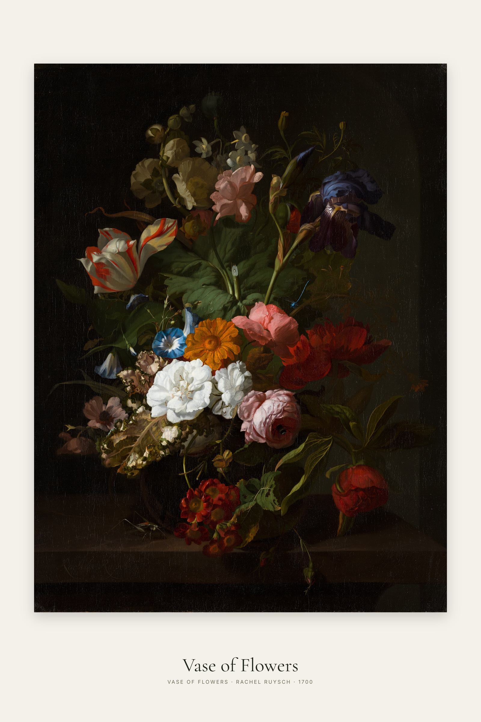 Vase of Flowers (Ruysch)