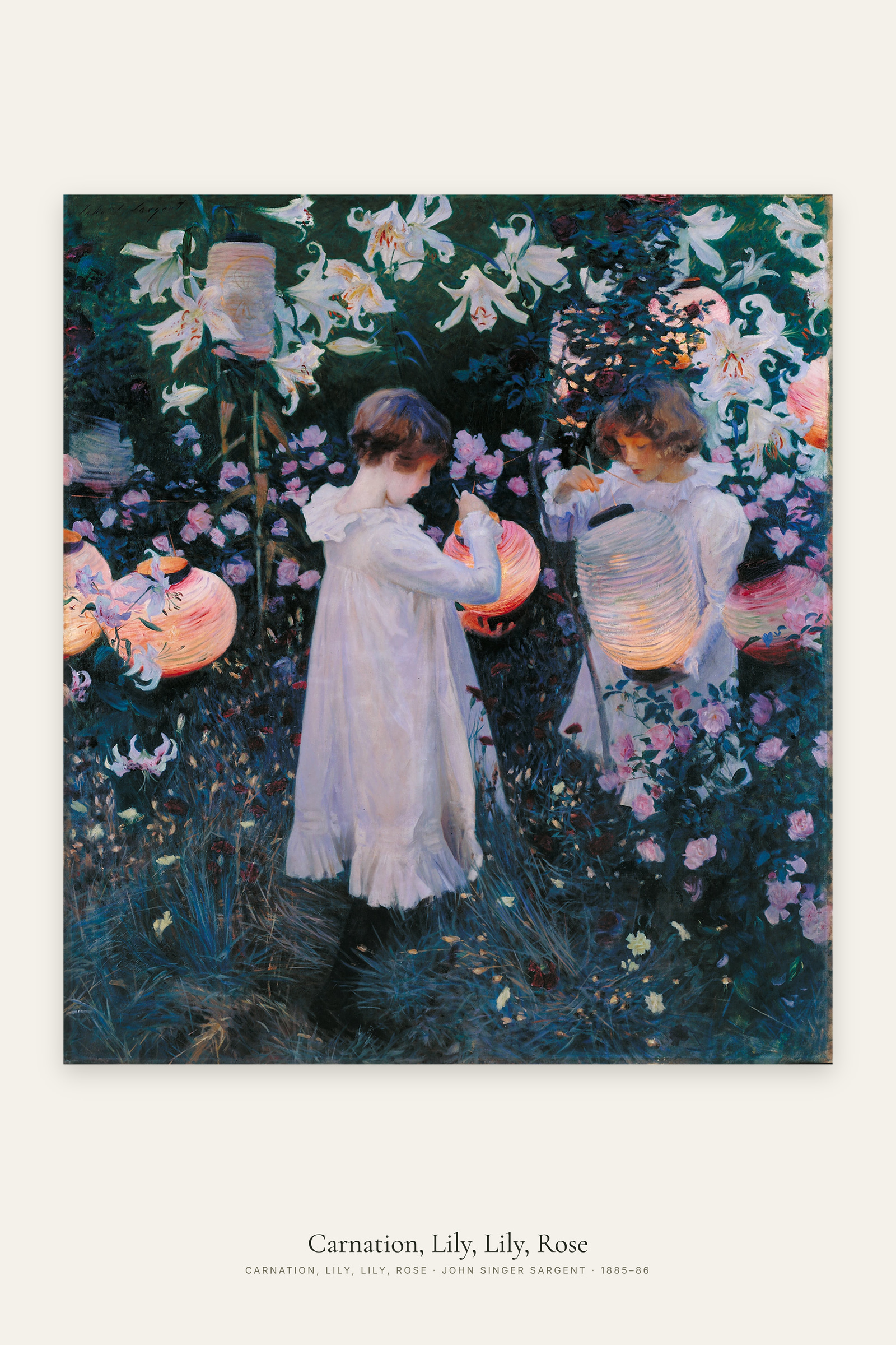 Carnation, Lily, Lily, Rose