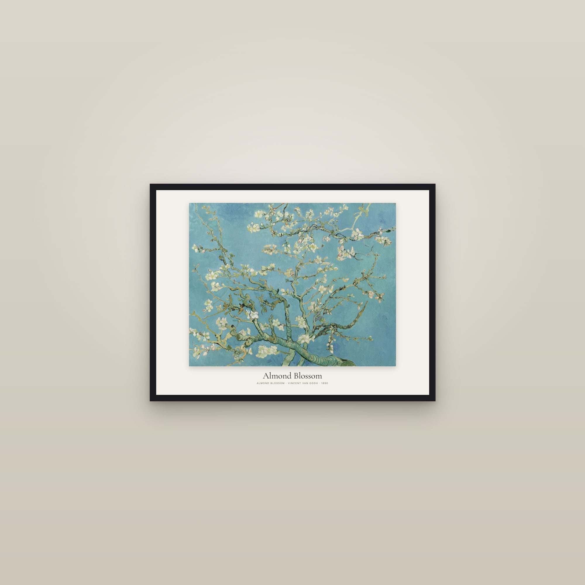Almond Blossom