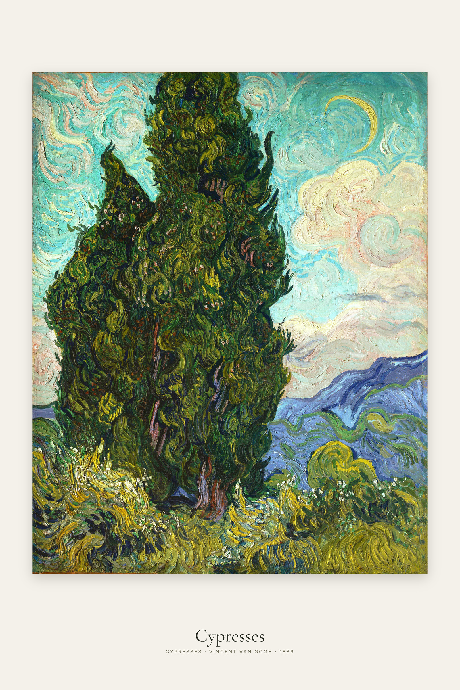 Cypresses