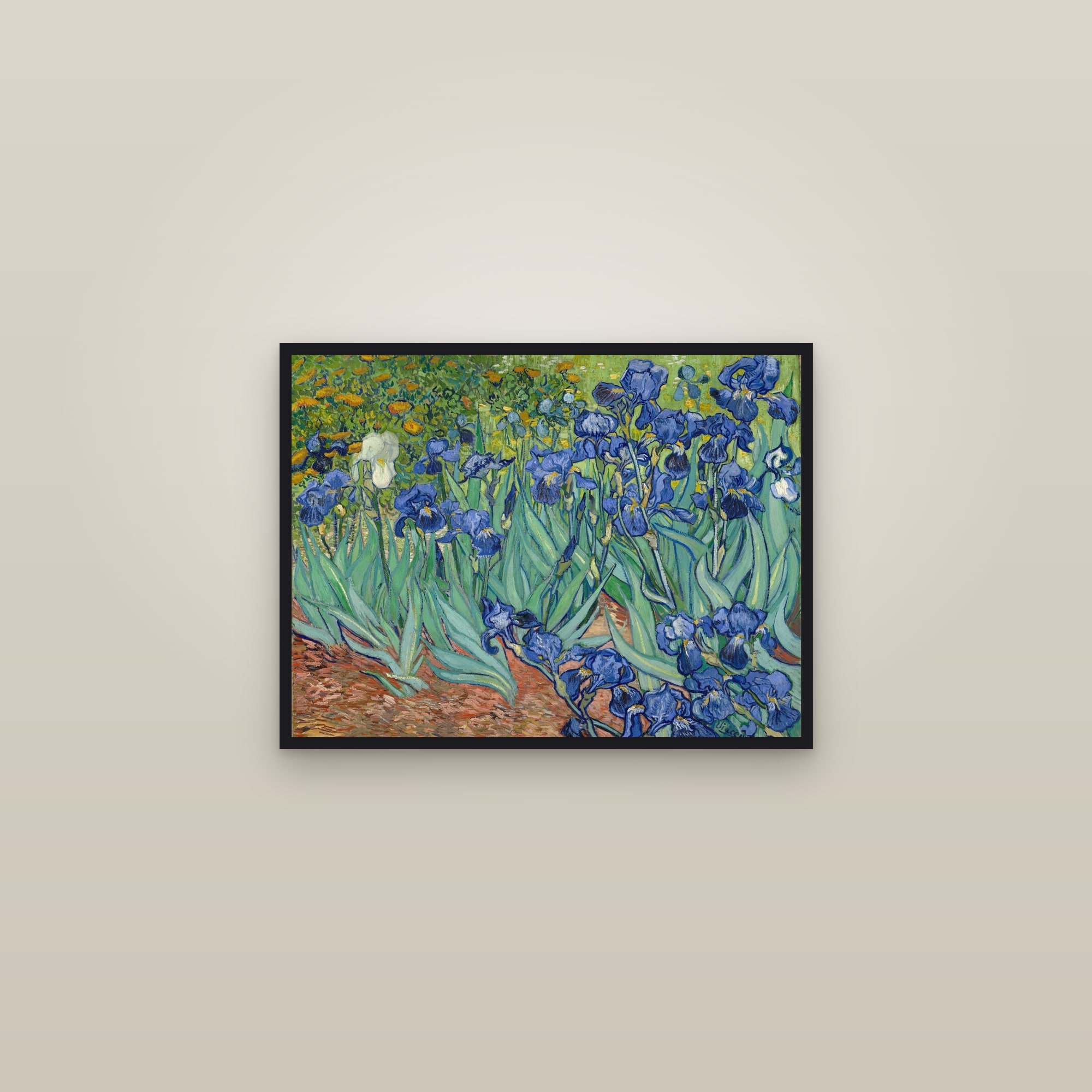 Irises (Full) — Full-Bleed Edition — framed in a gallery setting