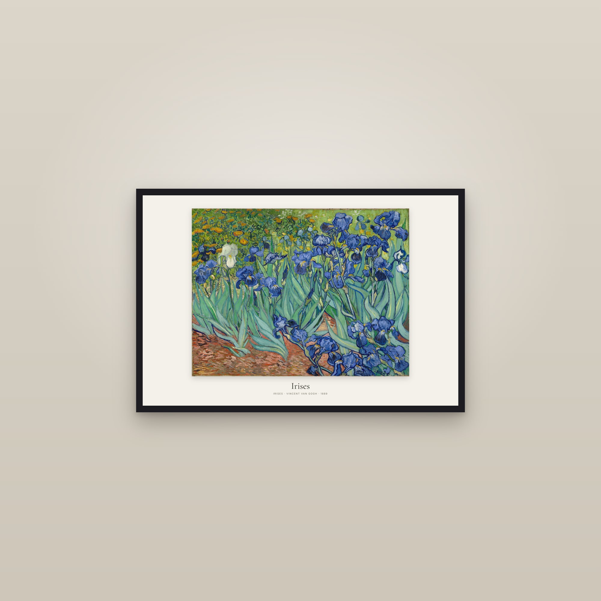 Irises — framed in a gallery setting