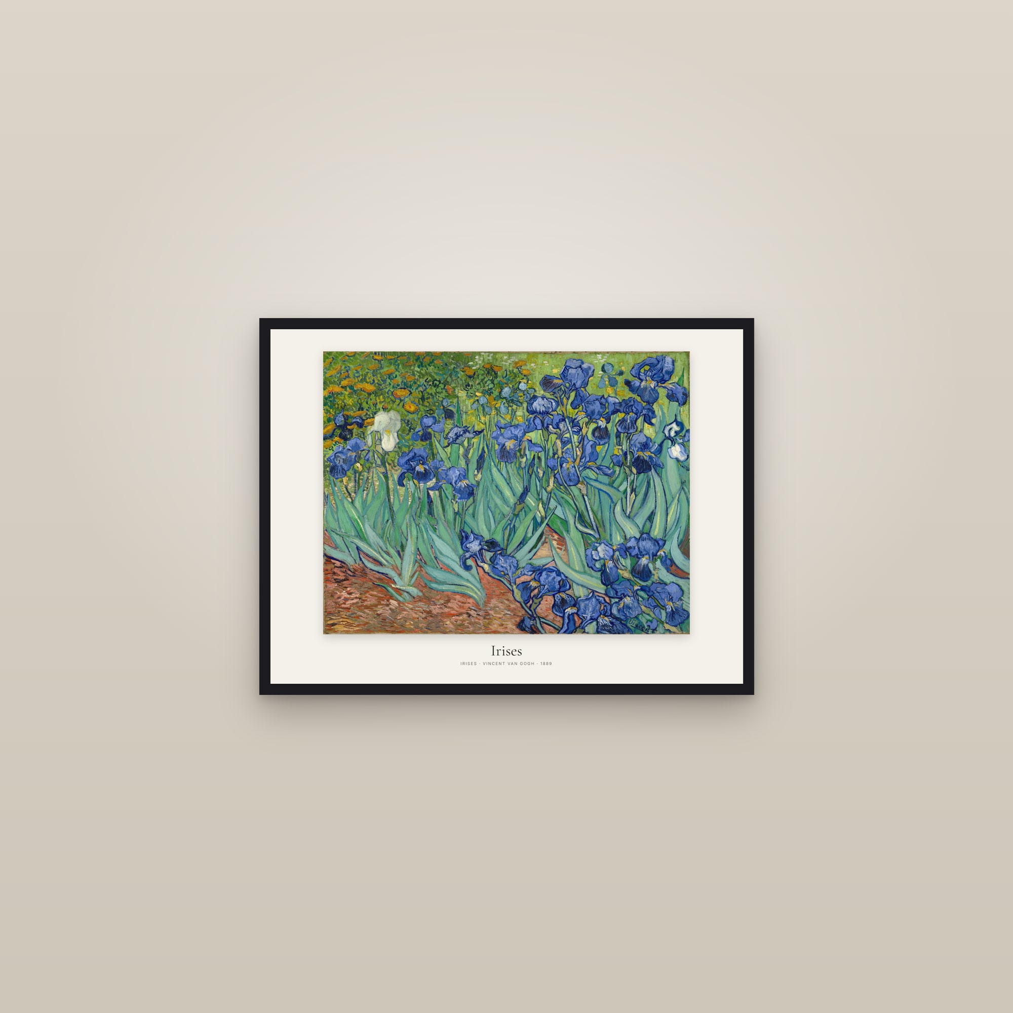 Irises