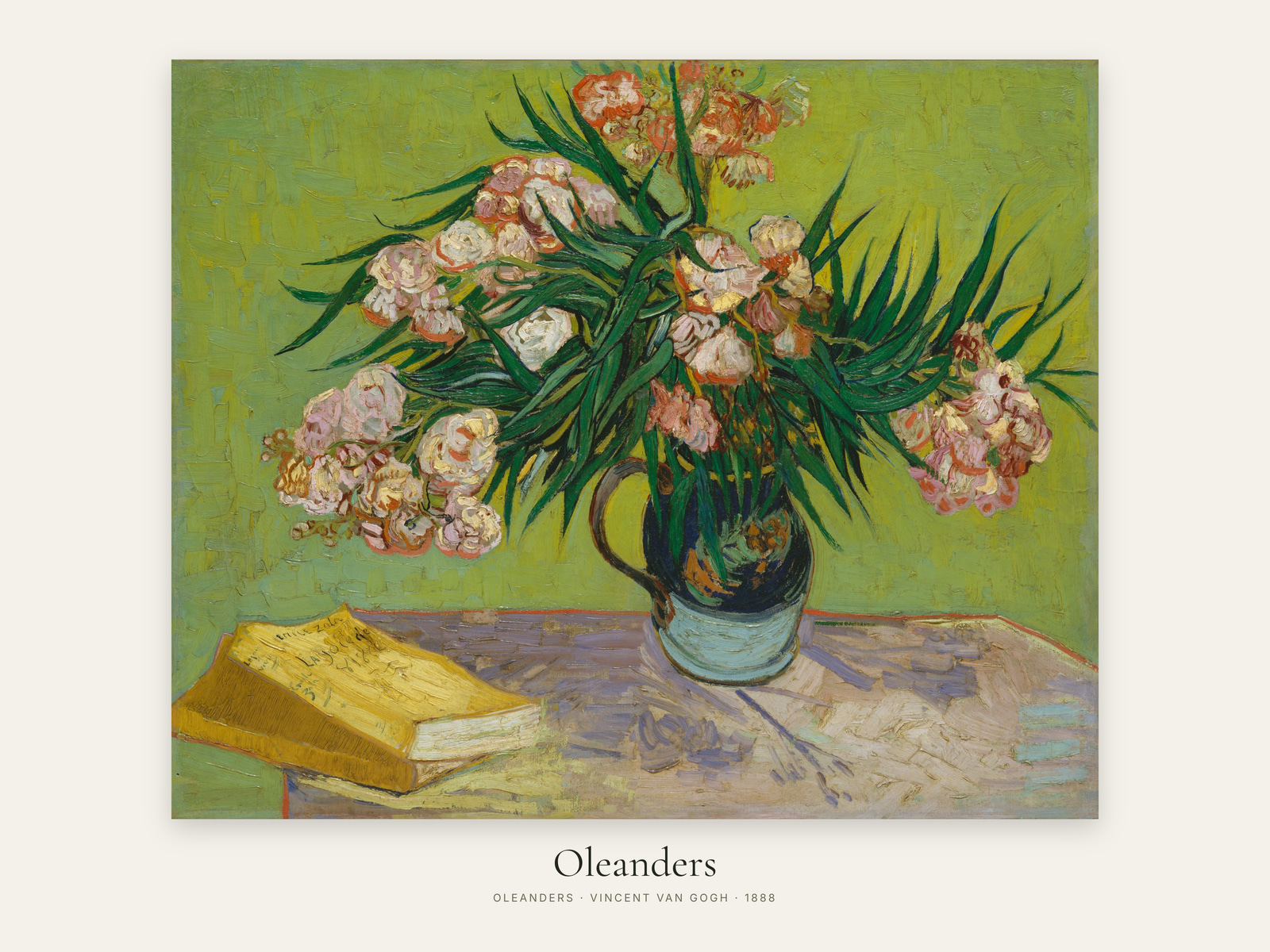 Oleanders