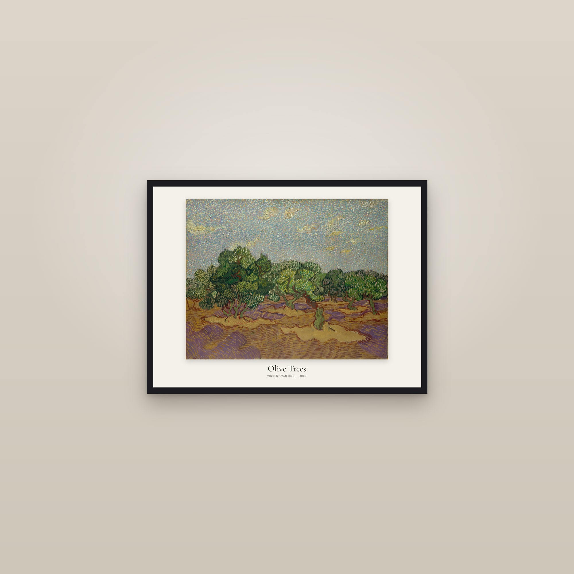 Olive Trees