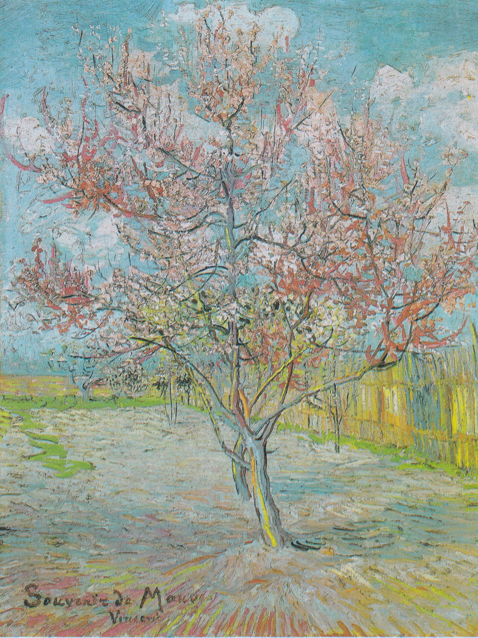 Pink Peach Trees (Souvenir de Mauve) — Full-Bleed Edition