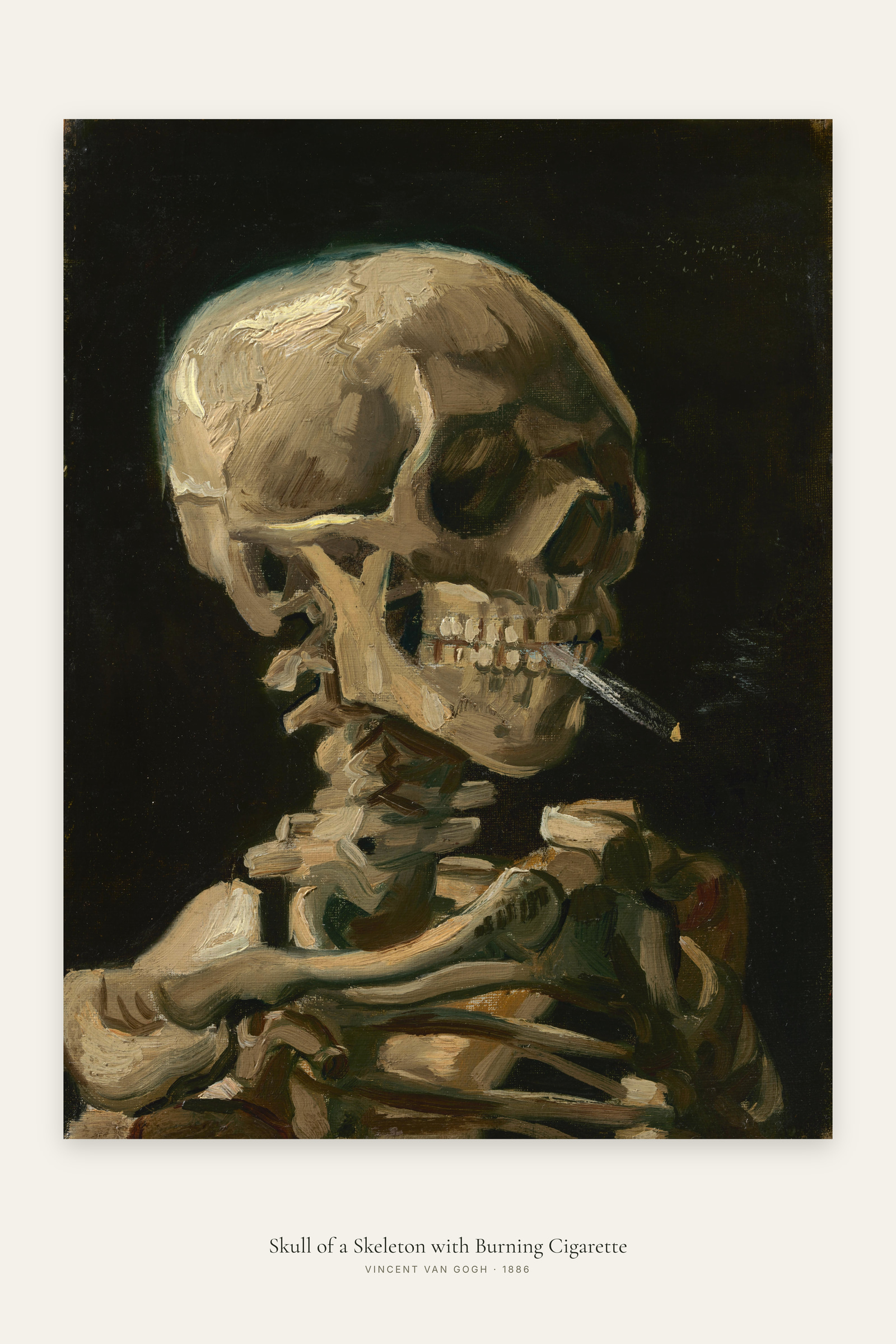 Skull of a Skeleton with Burning Cigarette