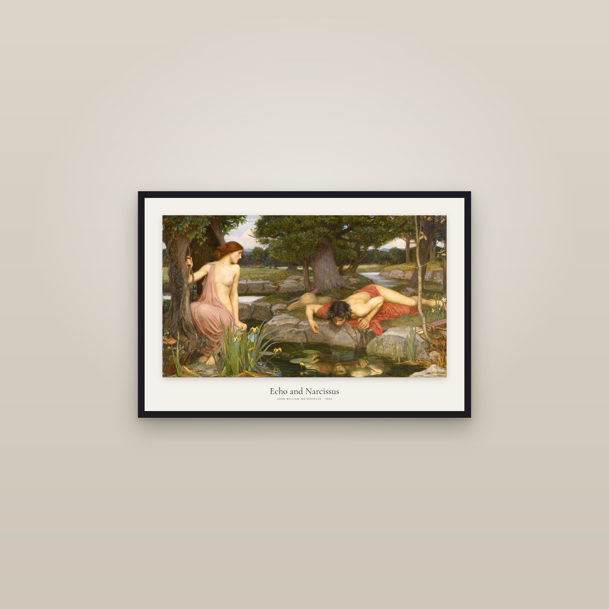 Echo and Narcissus