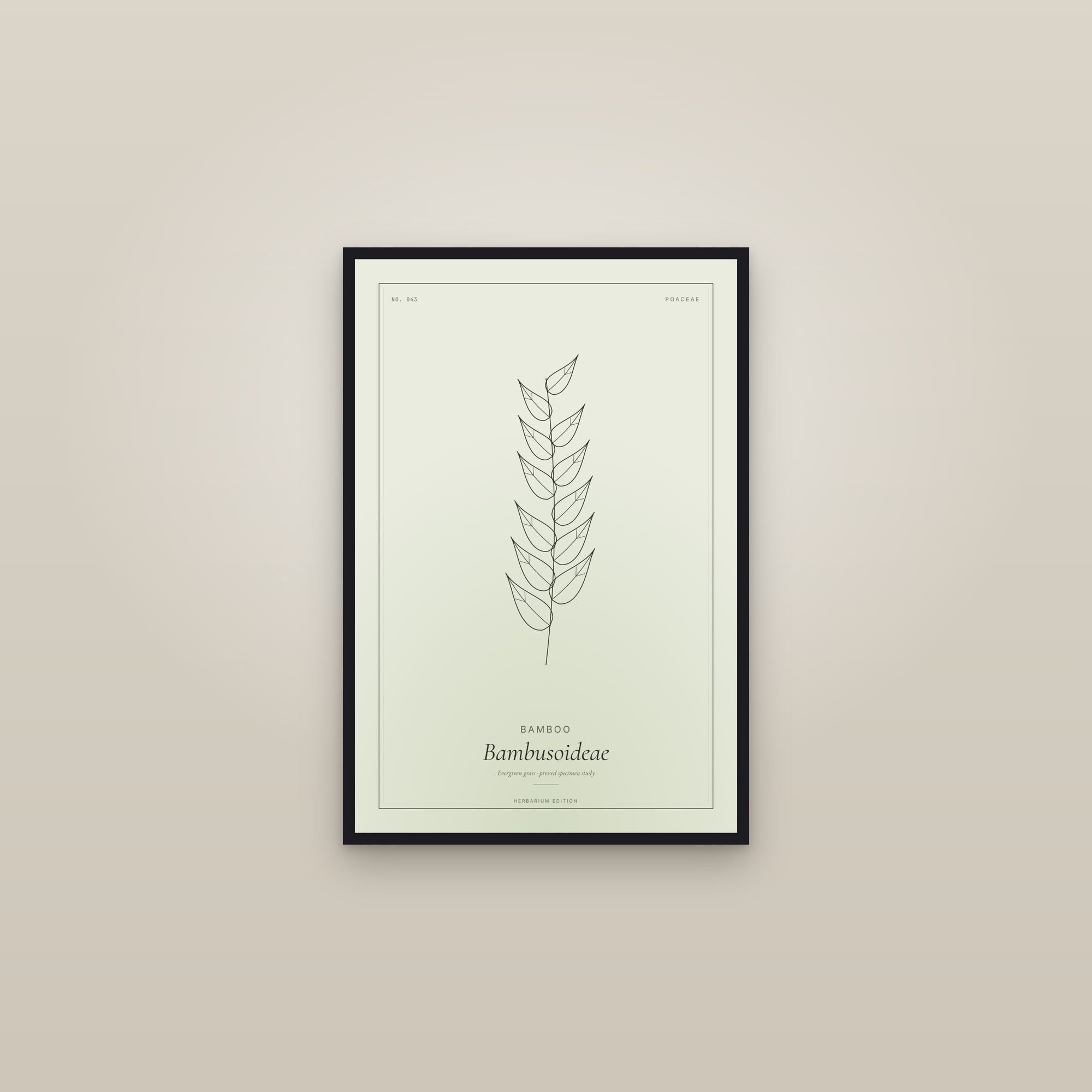 Bamboo — Botanical Specimen — framed in a gallery setting