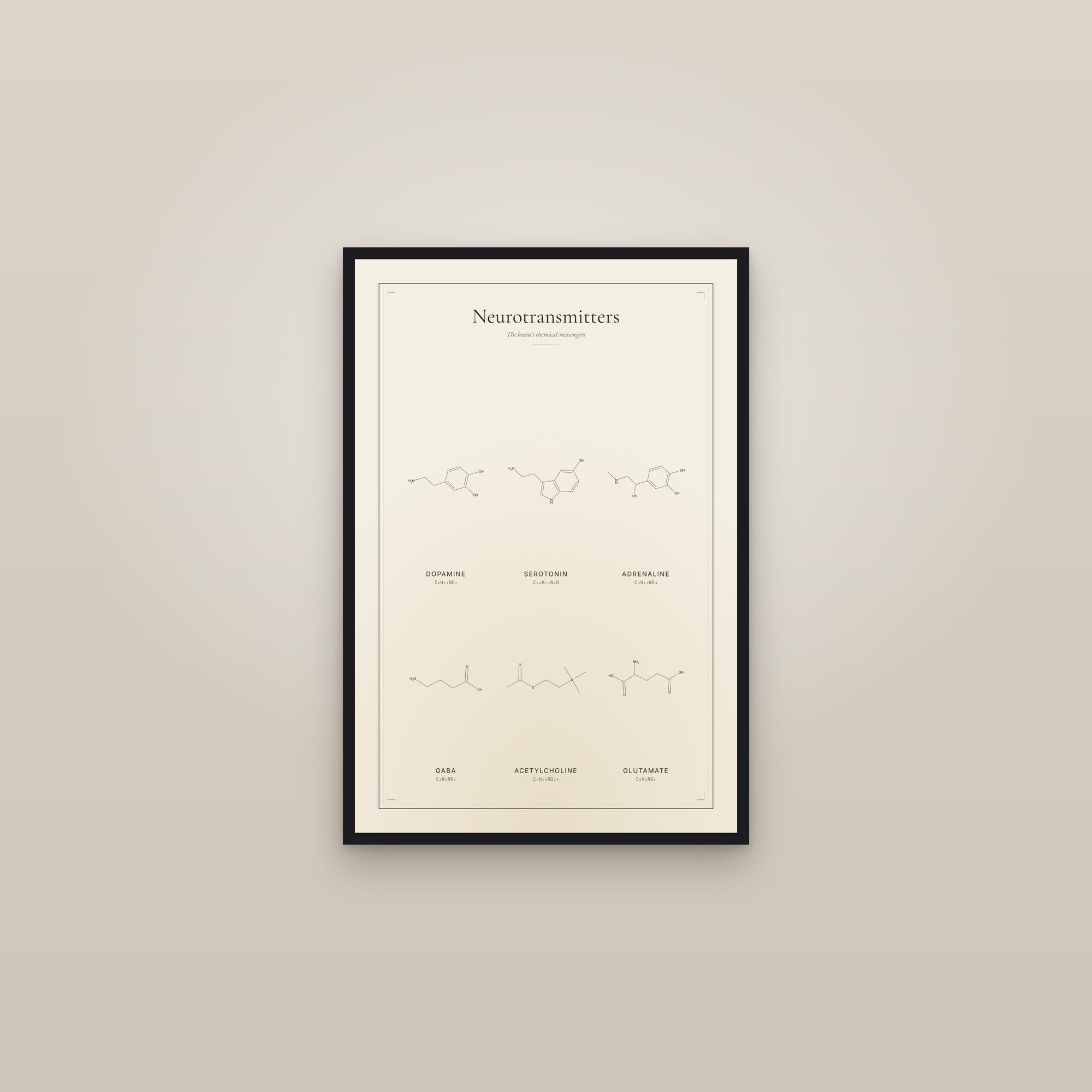Neurotransmitters — framed in a gallery setting