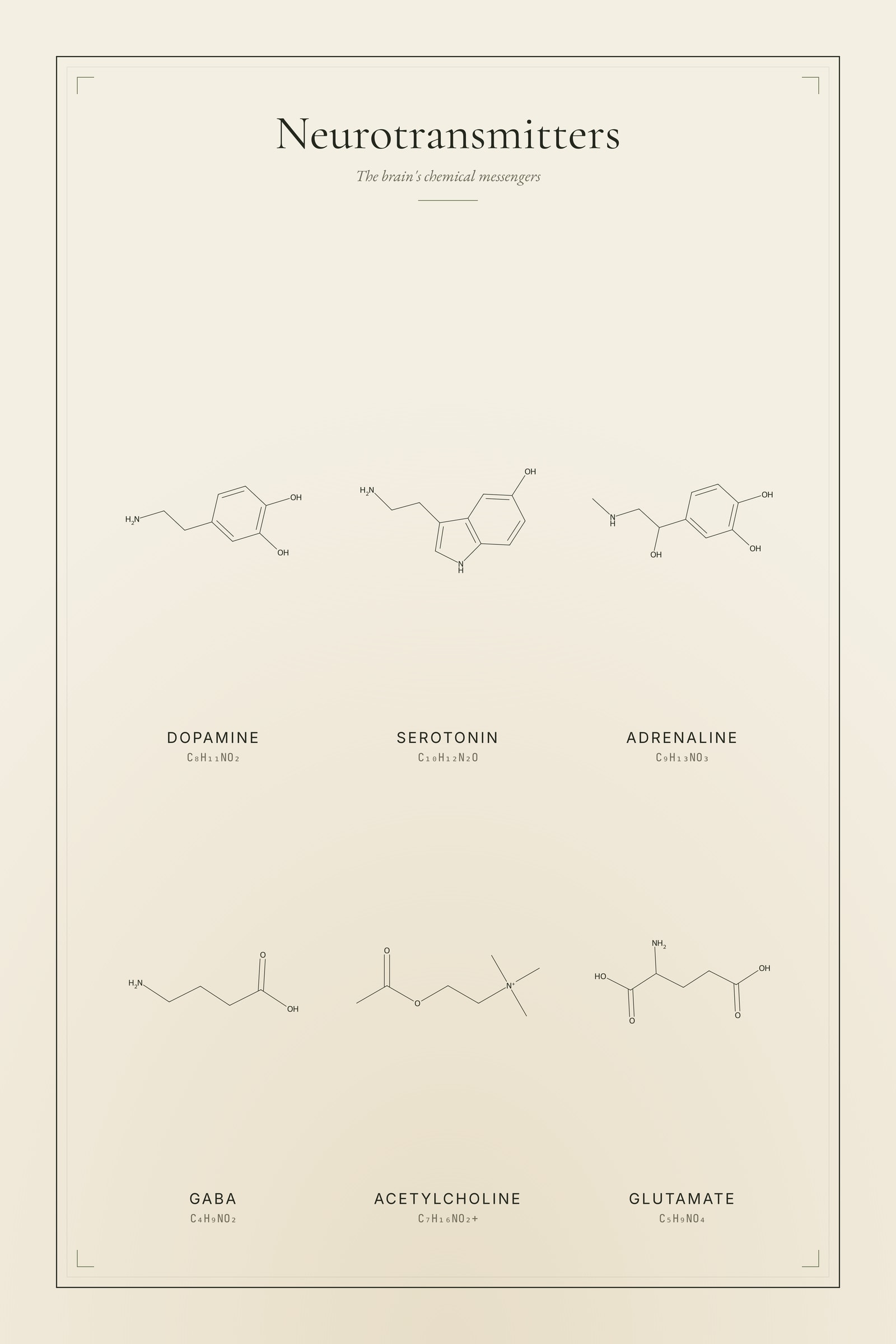Neurotransmitters