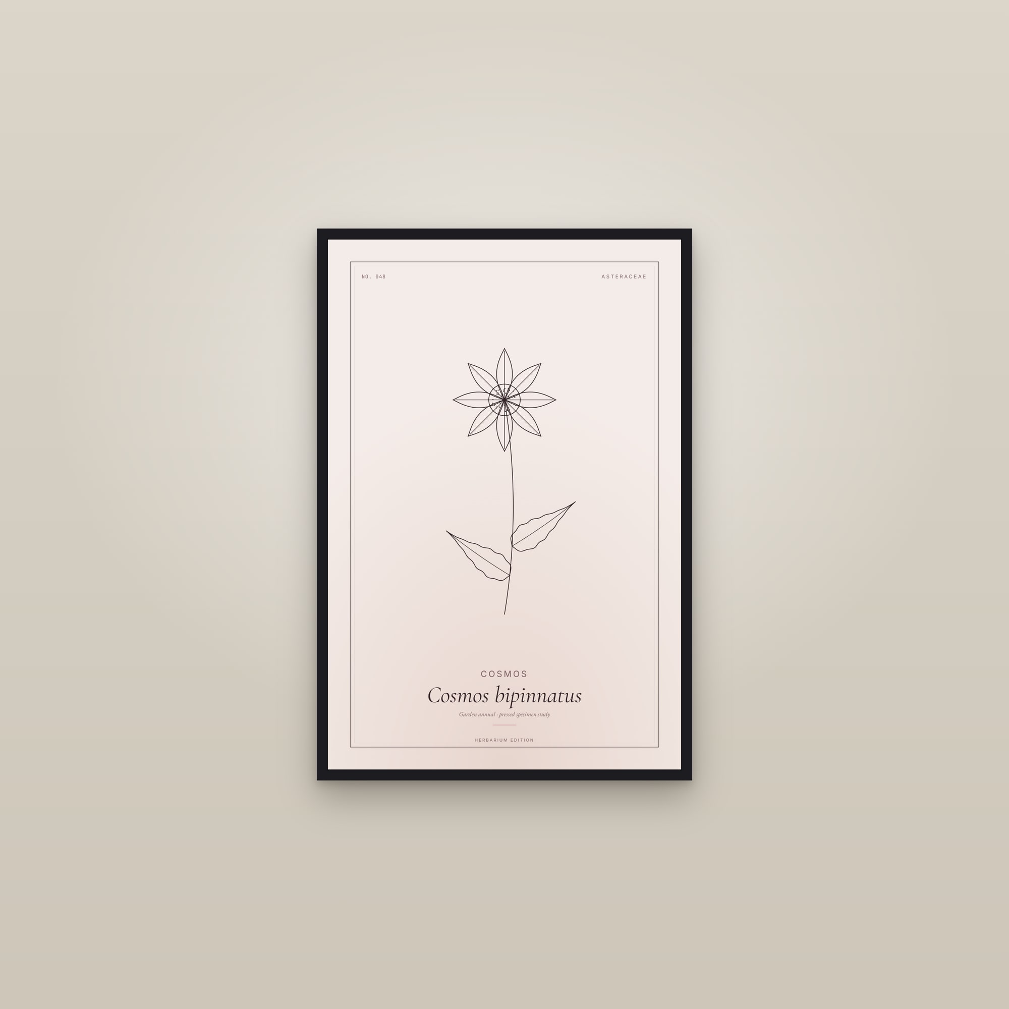 Cosmos — Botanical Specimen — framed in a gallery setting
