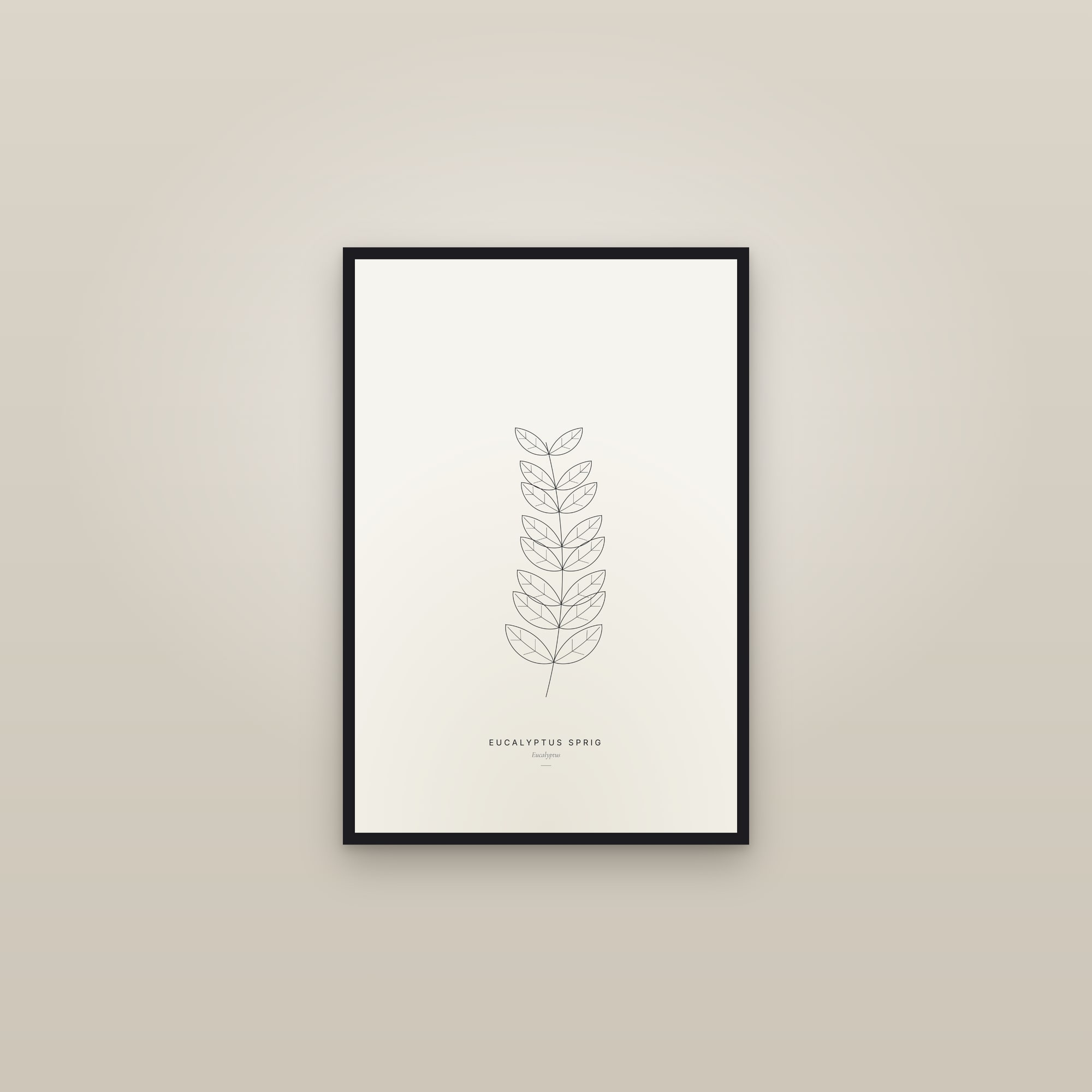 Eucalyptus Sprig — Line Study — framed in a gallery setting