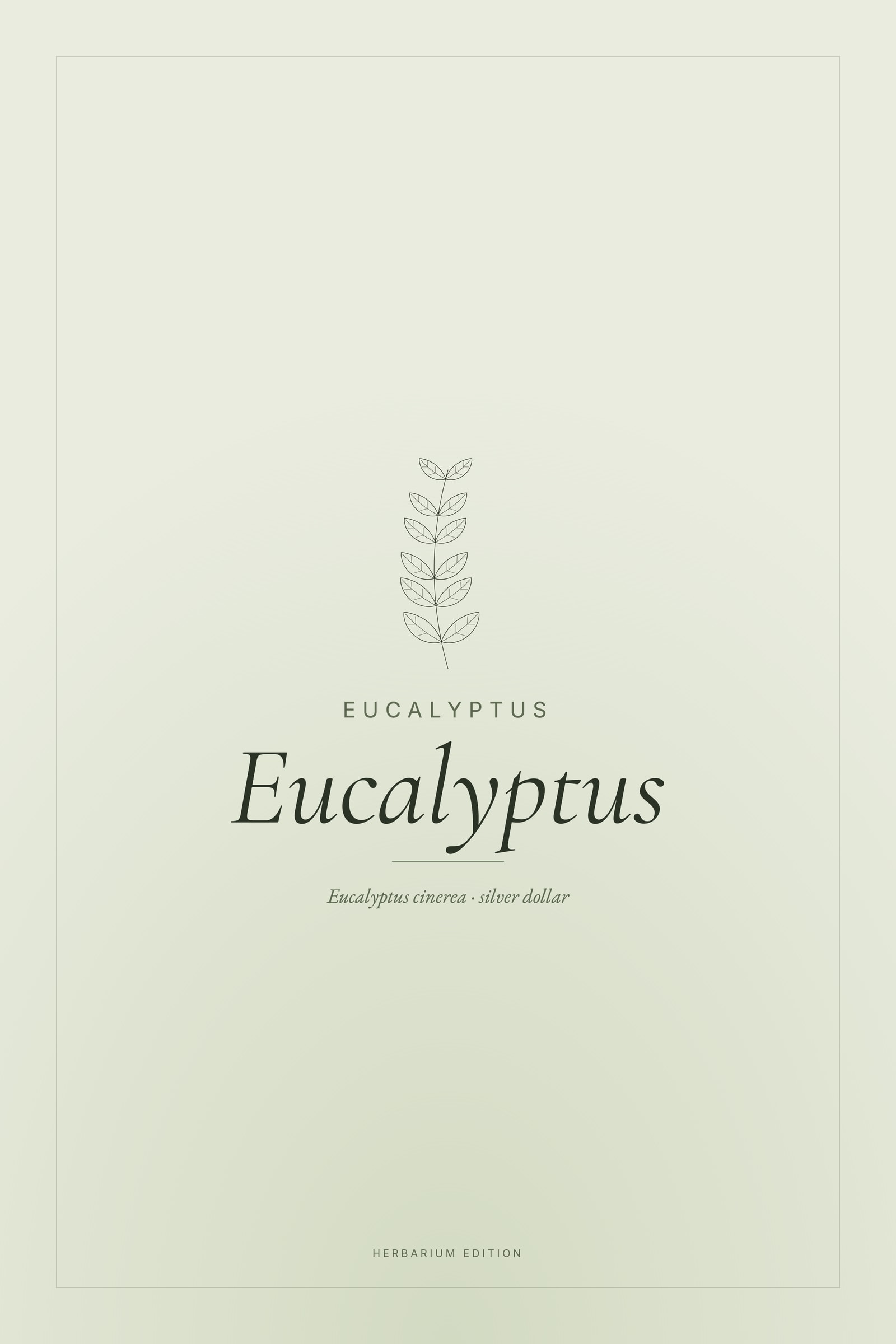 Eucalyptus — Typographic Botanical