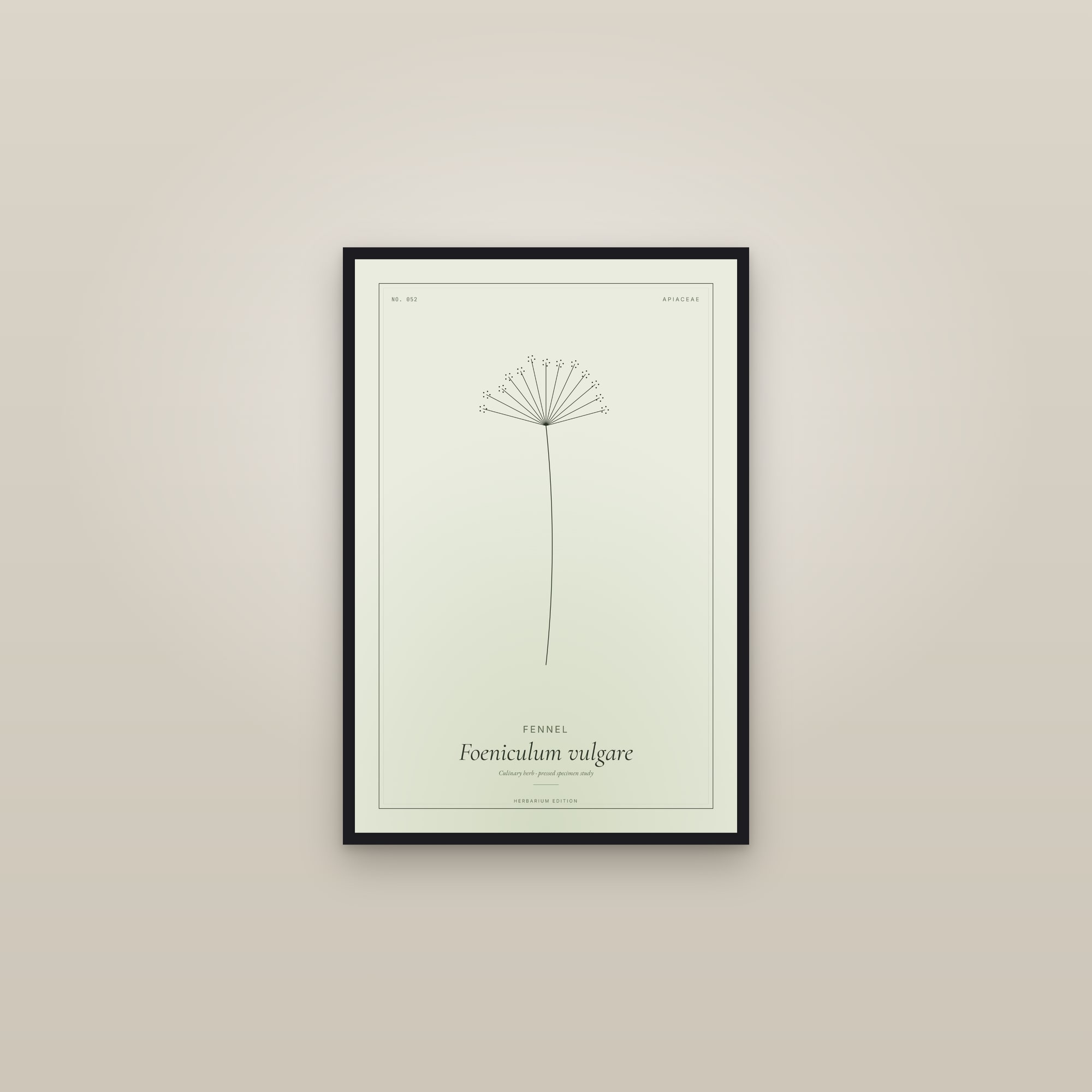 Fennel — Botanical Specimen — framed in a gallery setting