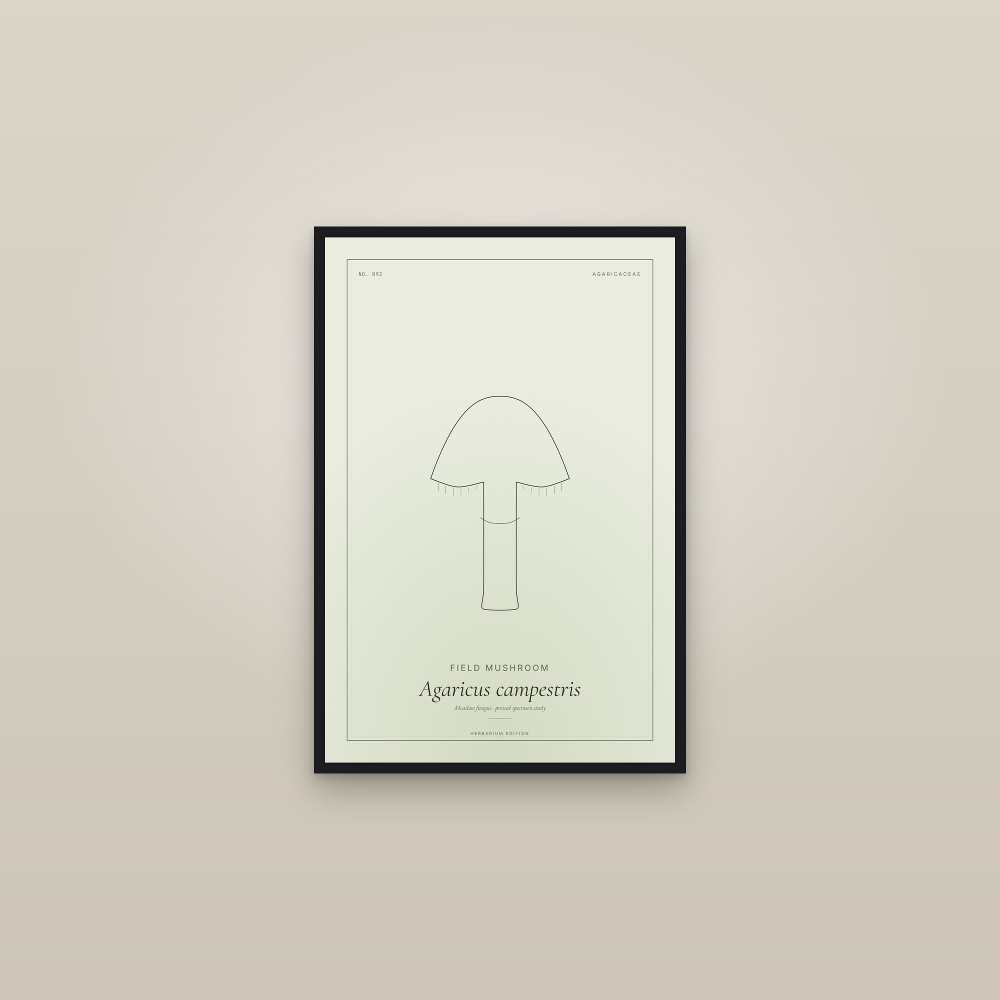 Field Mushroom — Botanical Specimen — framed in a gallery setting