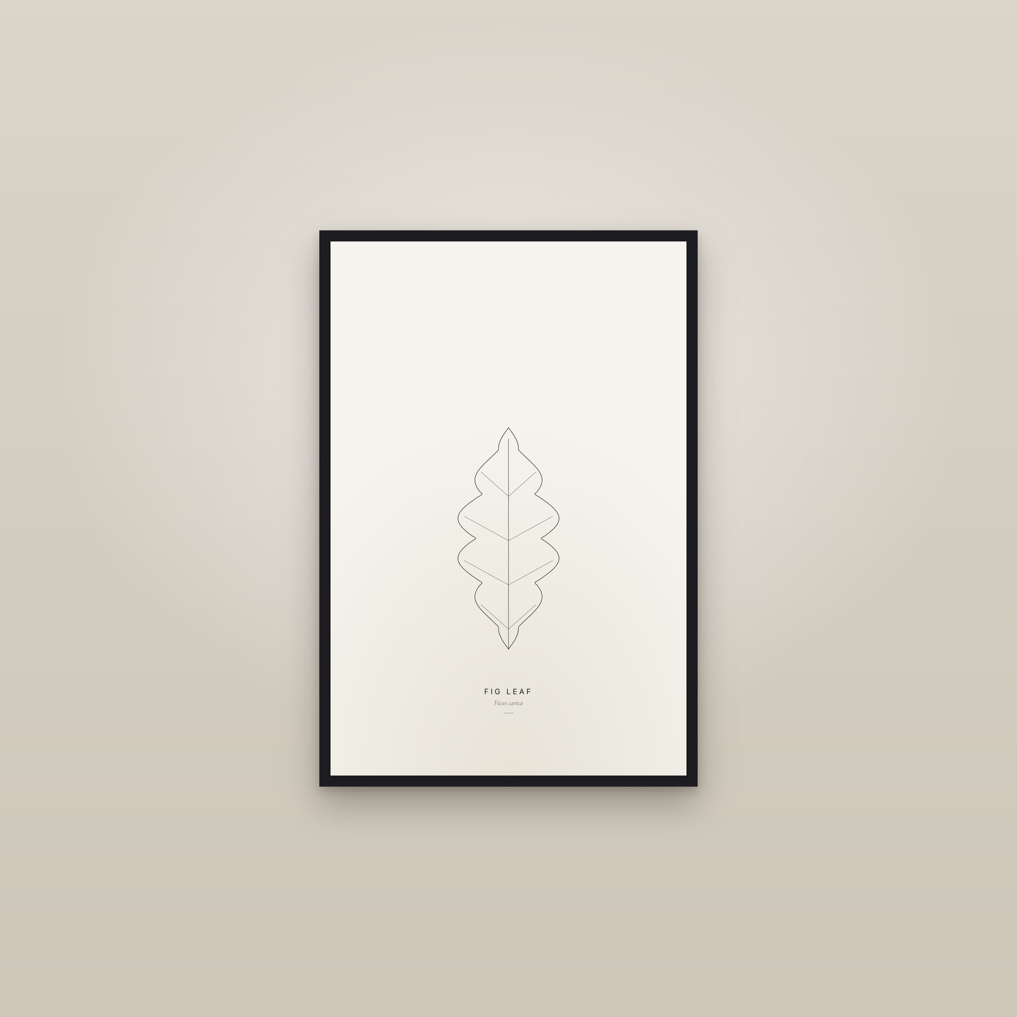 Fig Leaf — Line Study — framed in a gallery setting