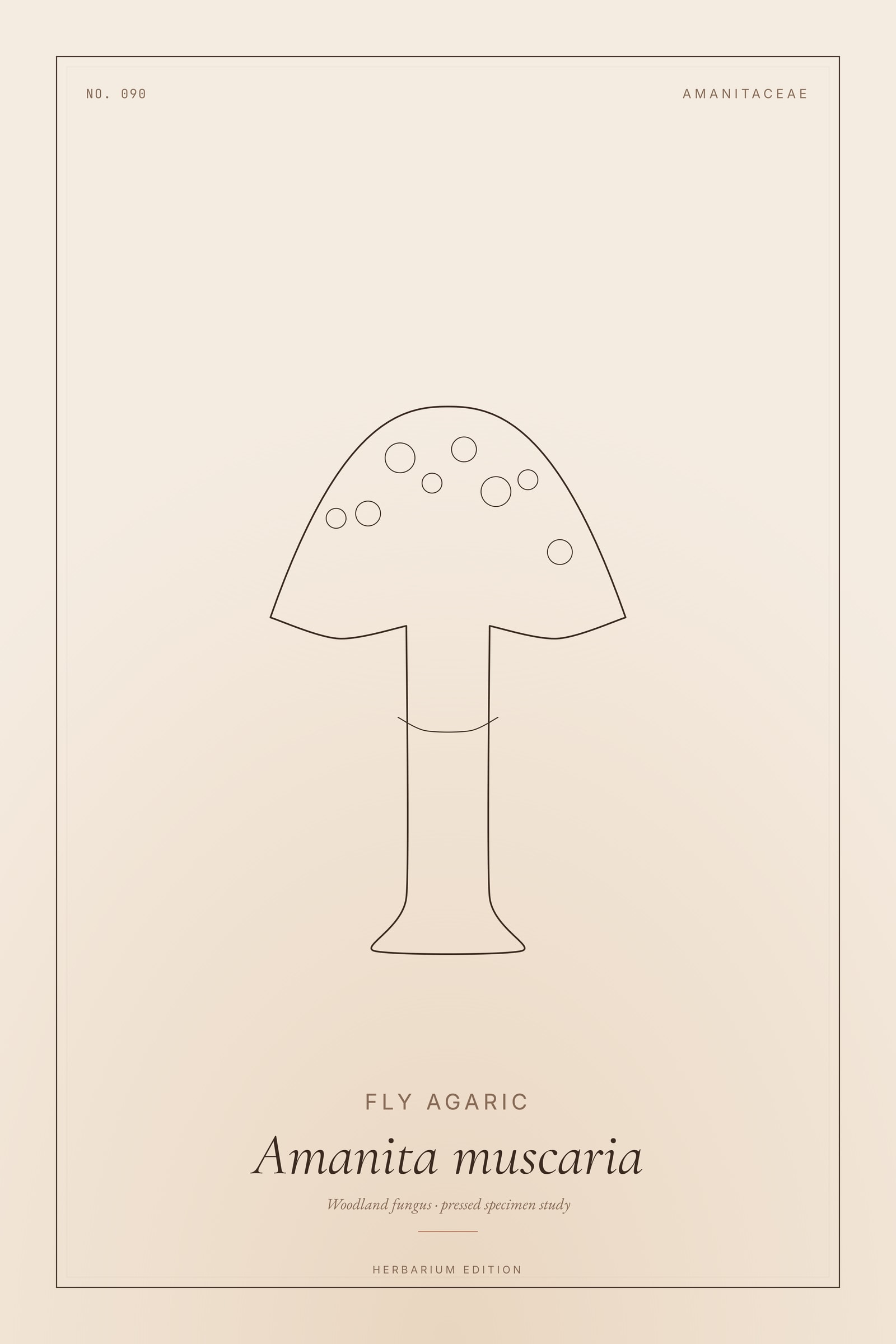 Fly Agaric — Botanical Specimen