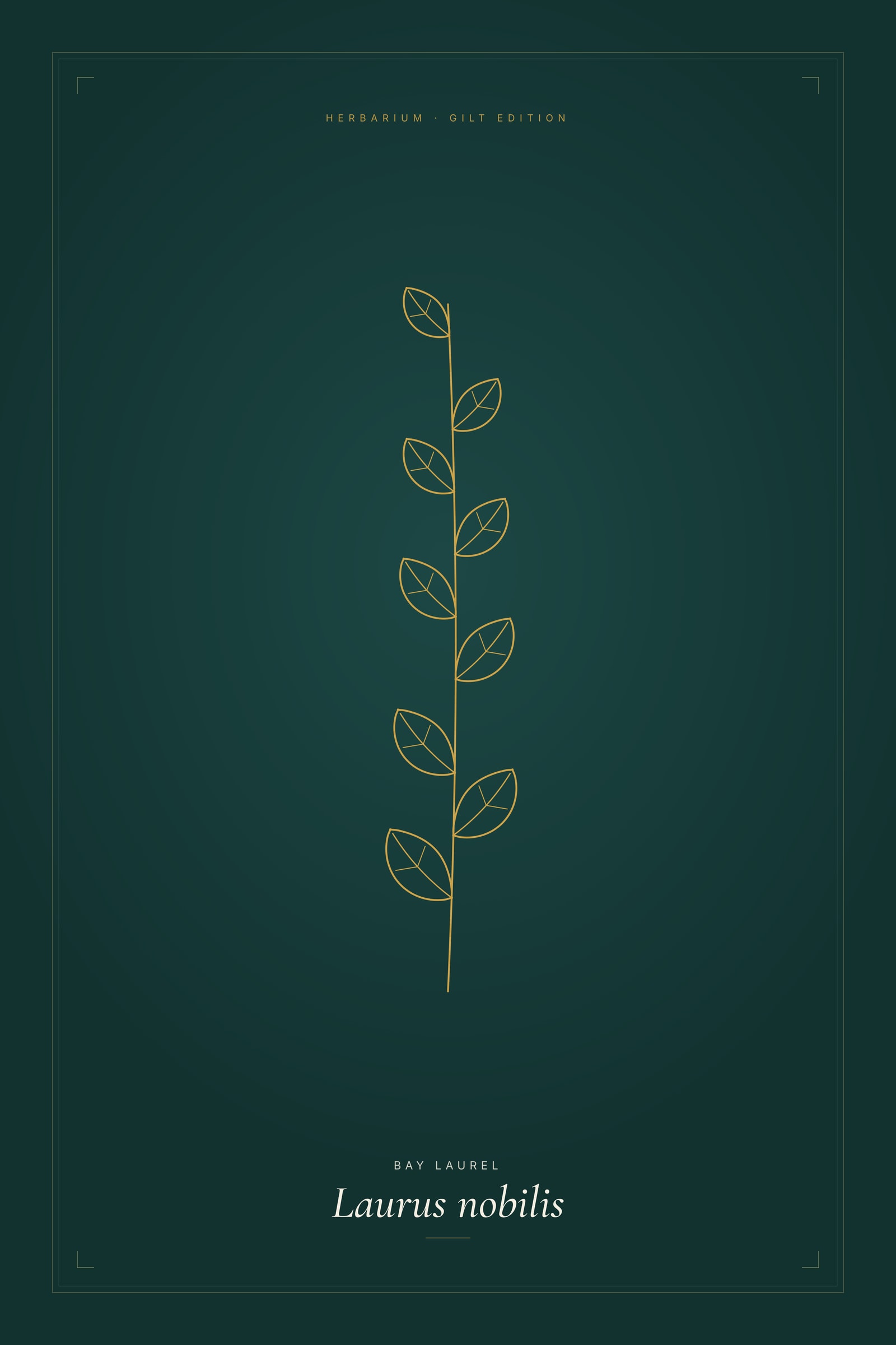 Bay Laurel (Gilt) — Gilt Botanical