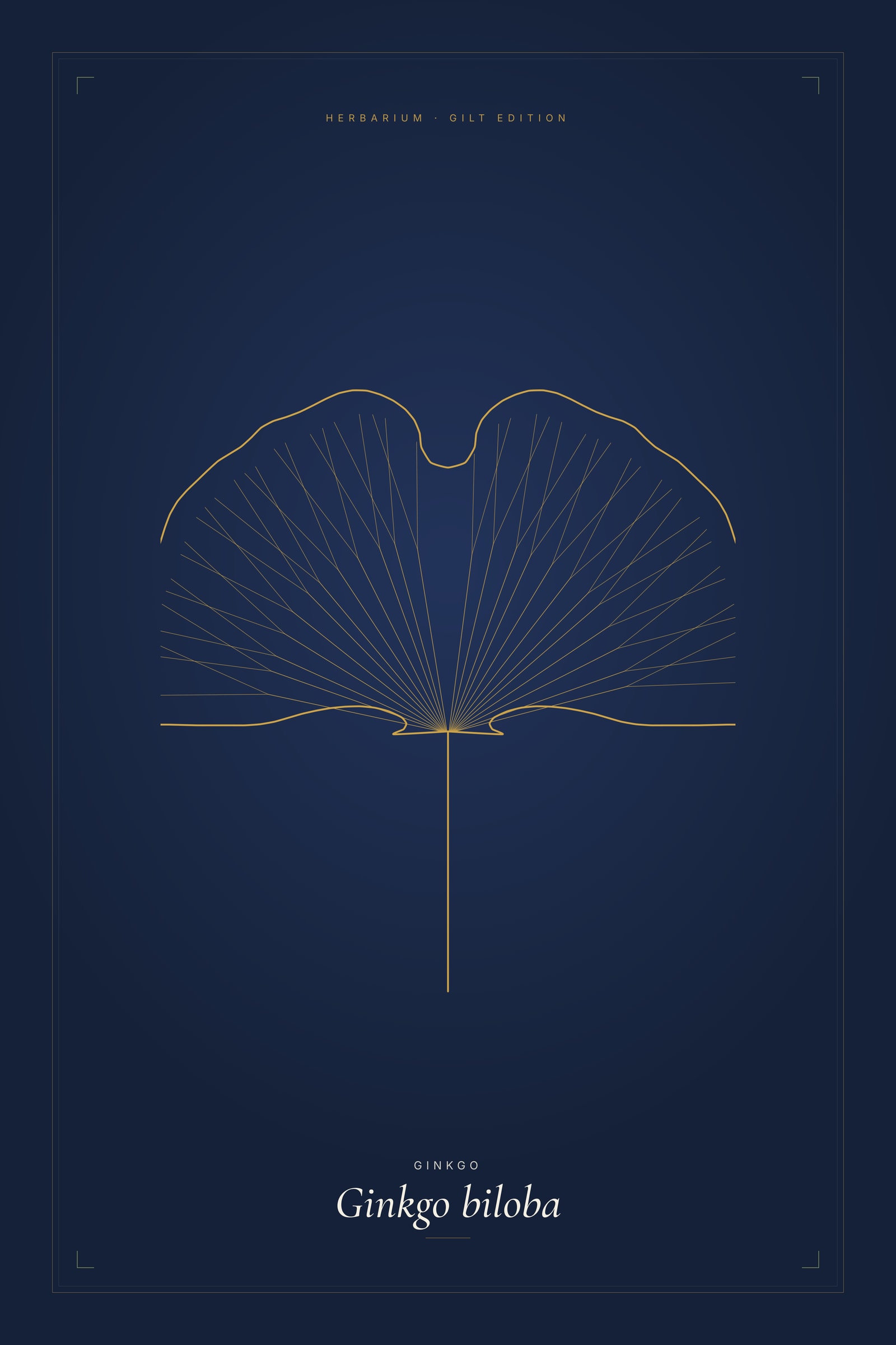 Ginkgo (Gilt) — Gilt Botanical