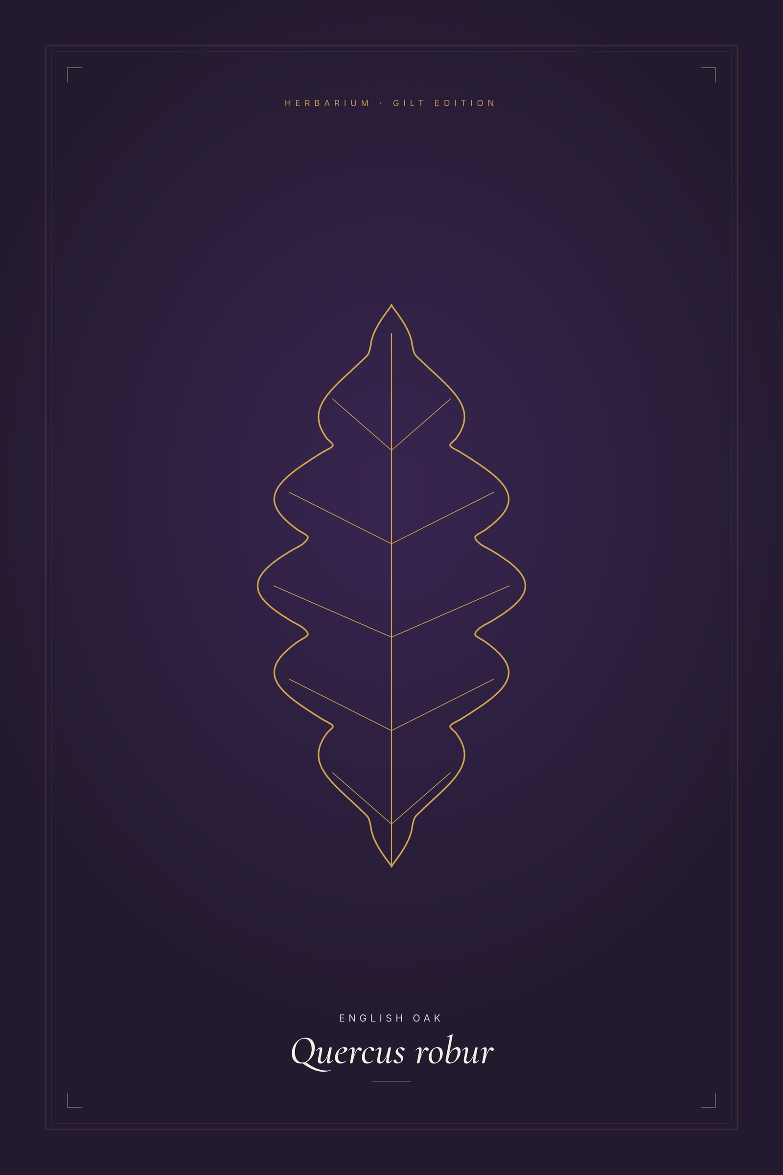 English Oak (Gilt) — Gilt Botanical