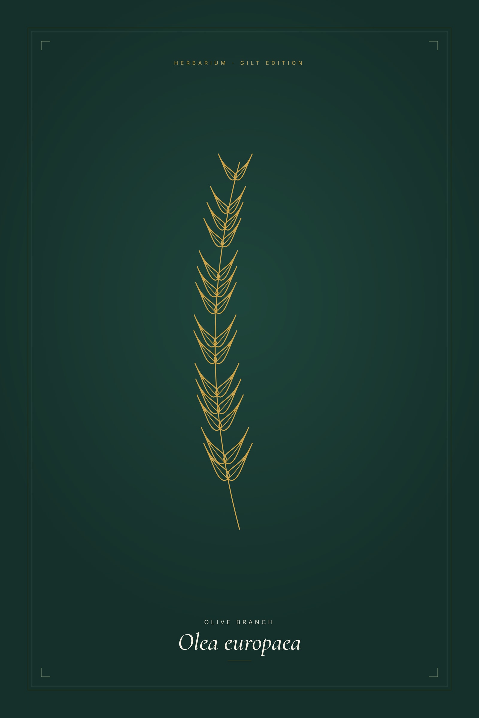Olive Branch (Gilt) — Gilt Botanical