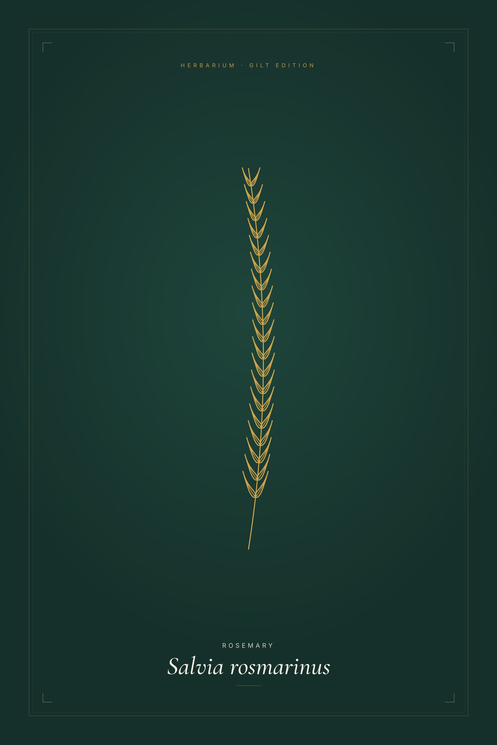 Rosemary (Gilt) — Gilt Botanical