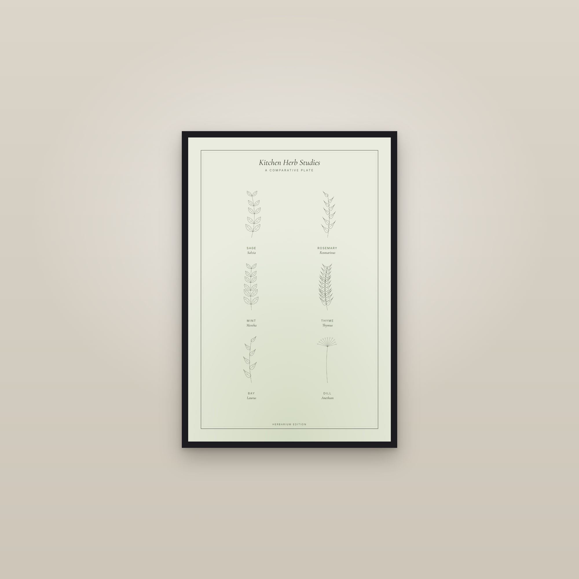 Kitchen Herb Studies — Botanical Plate — framed in a gallery setting