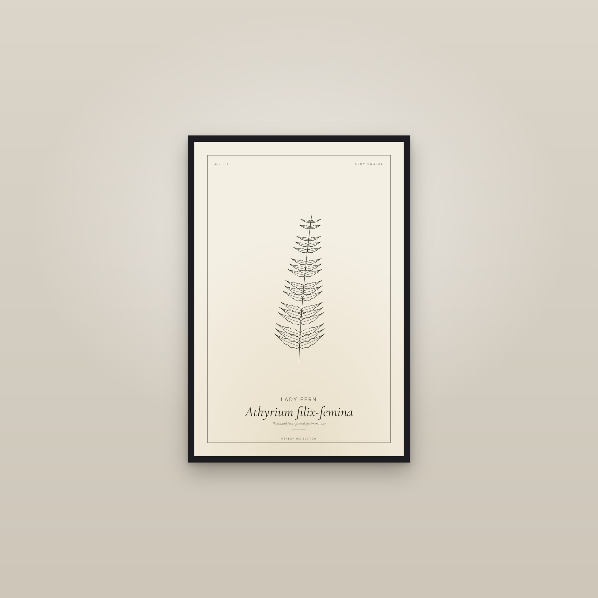 Lady Fern — Botanical Specimen — framed in a gallery setting