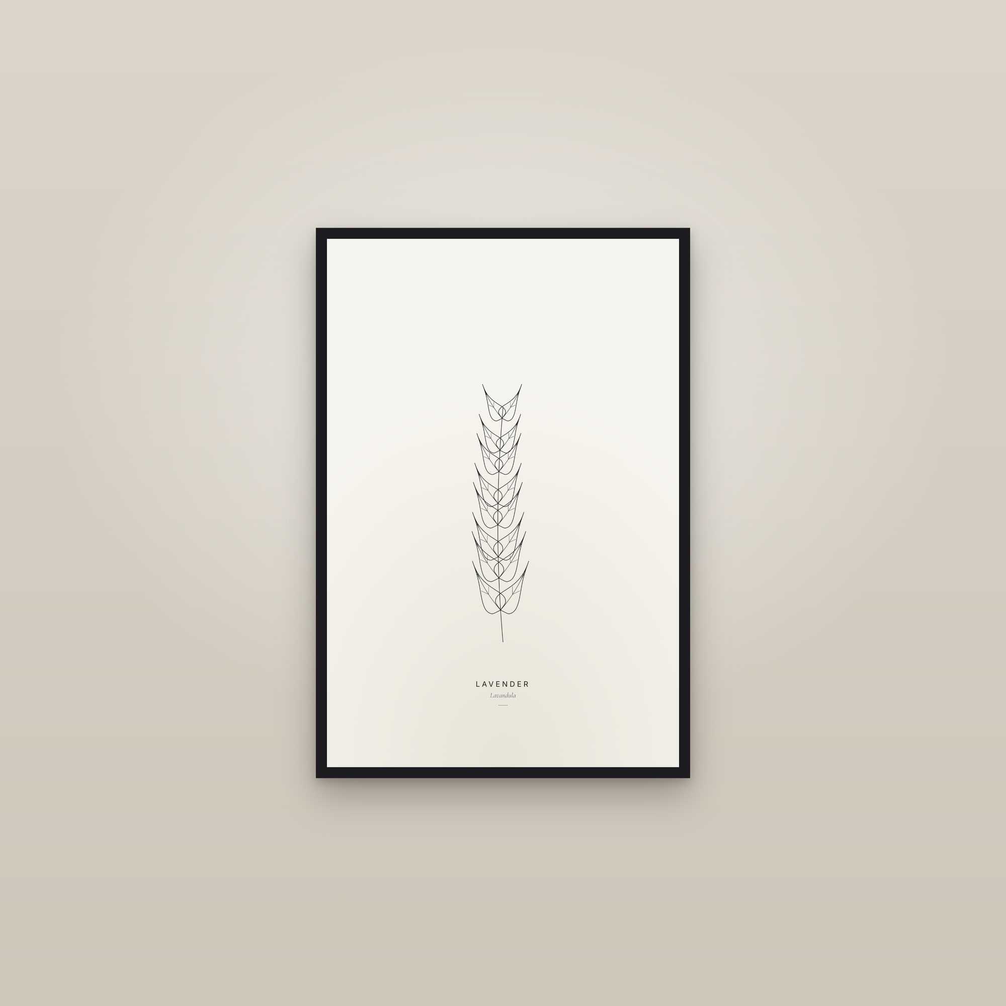 Lavender — Line Study — framed in a gallery setting