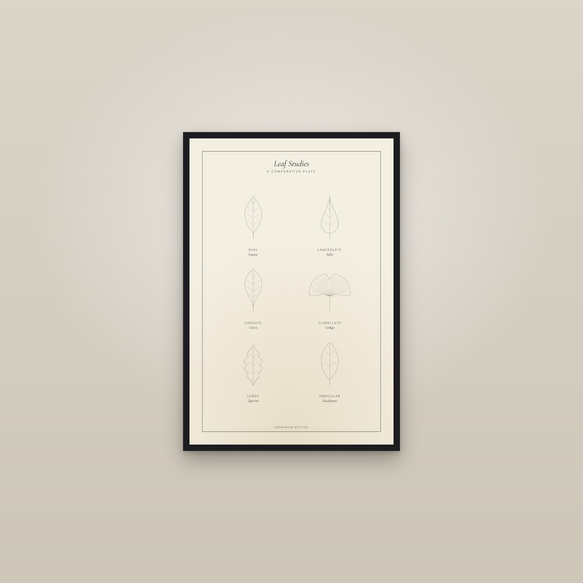 Leaf Studies — Botanical Plate — framed in a gallery setting