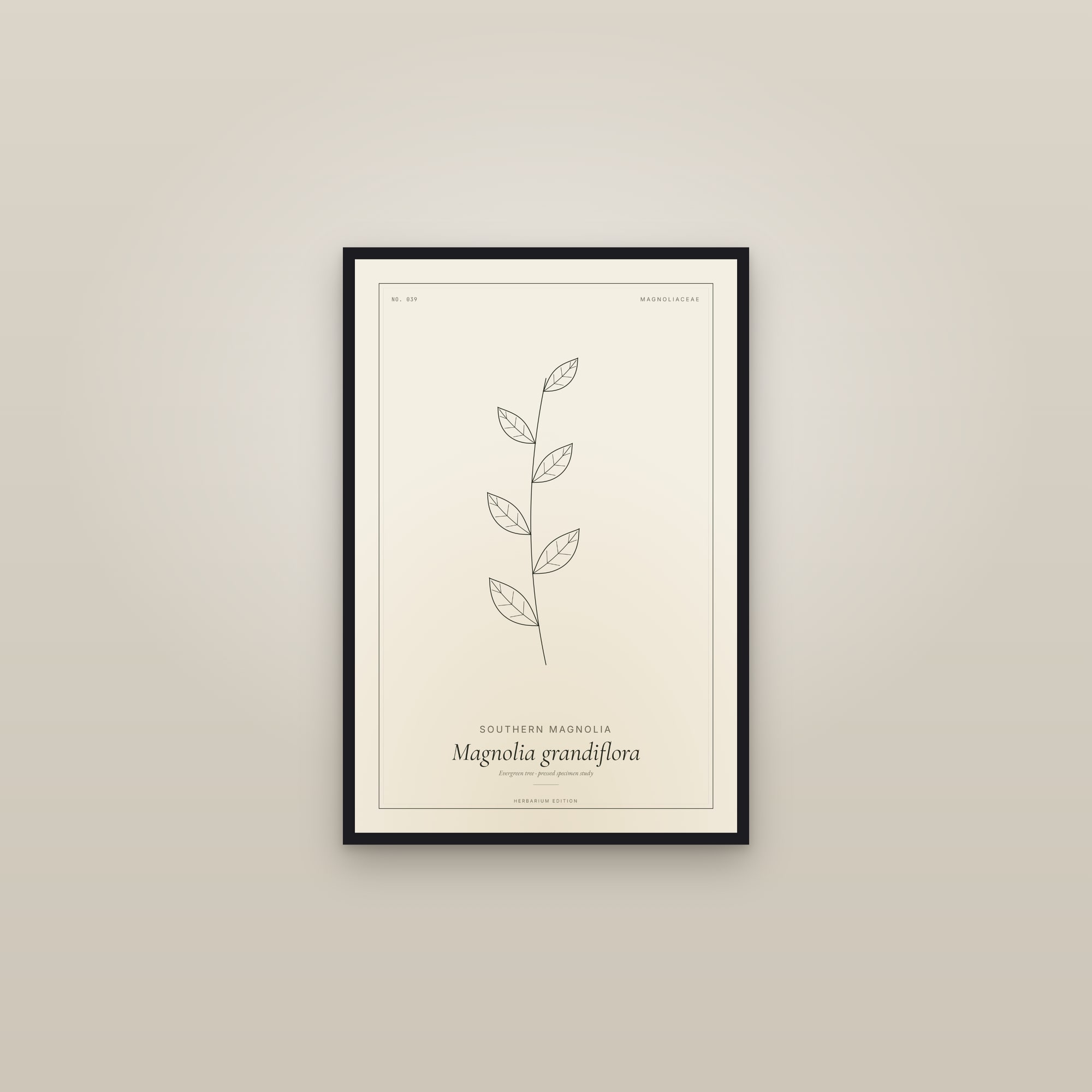 Southern Magnolia — Botanical Specimen — framed in a gallery setting