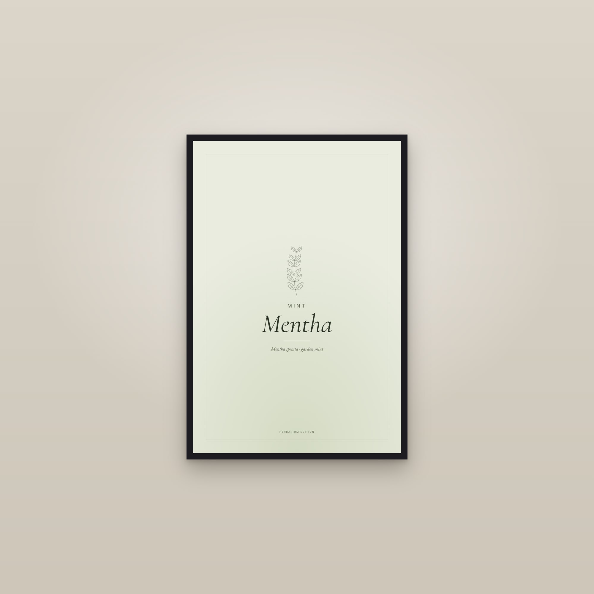 Mentha — Typographic Botanical — framed in a gallery setting