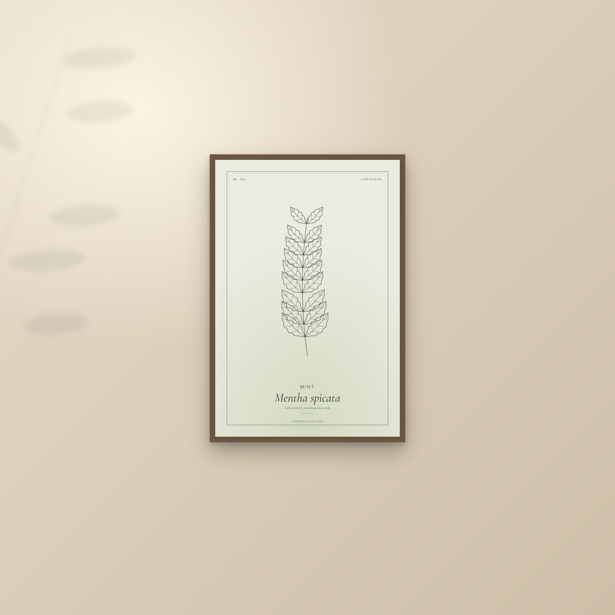 Mint — Botanical Specimen — framed and styled on a sunlit wall