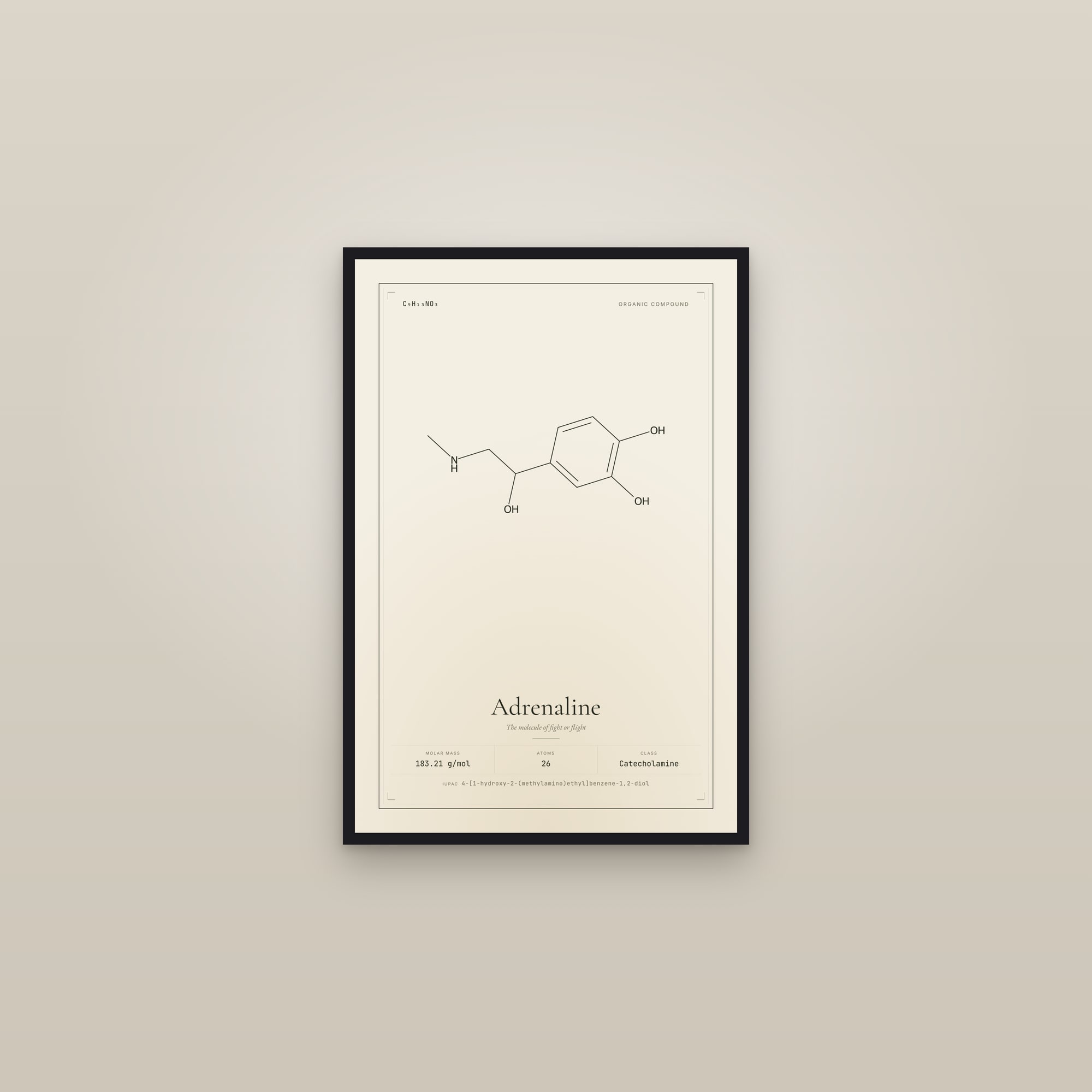 Adrenaline — Molecular Structure — framed in a gallery setting