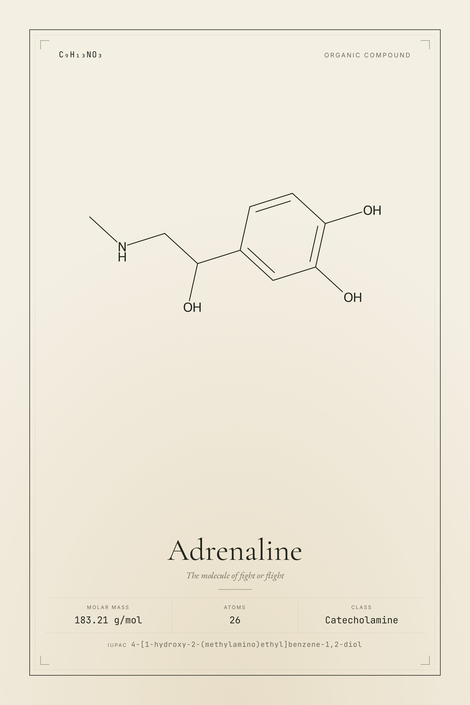 Adrenaline — Molecular Structure