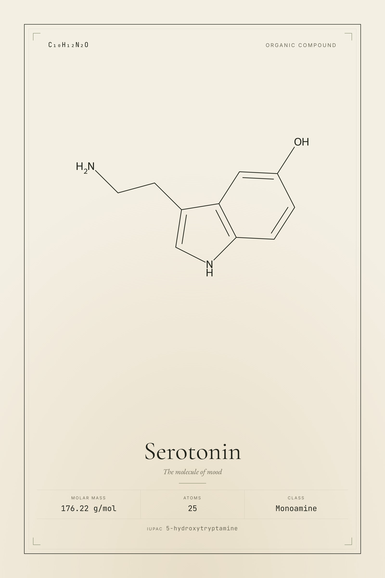 Serotonin — Molecular Structure