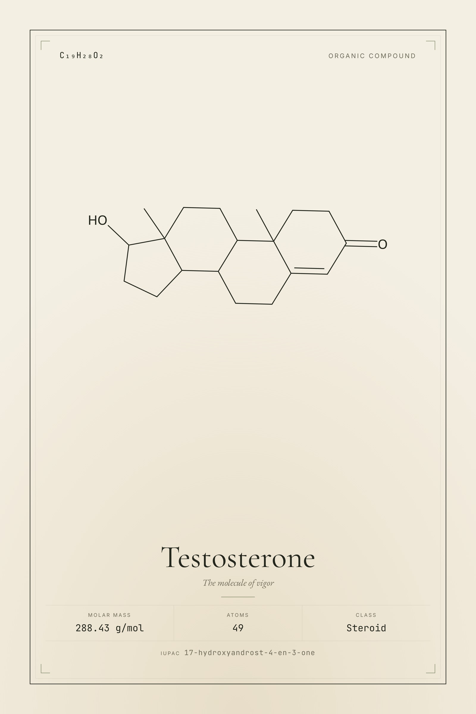 Testosterone — Molecular Structure