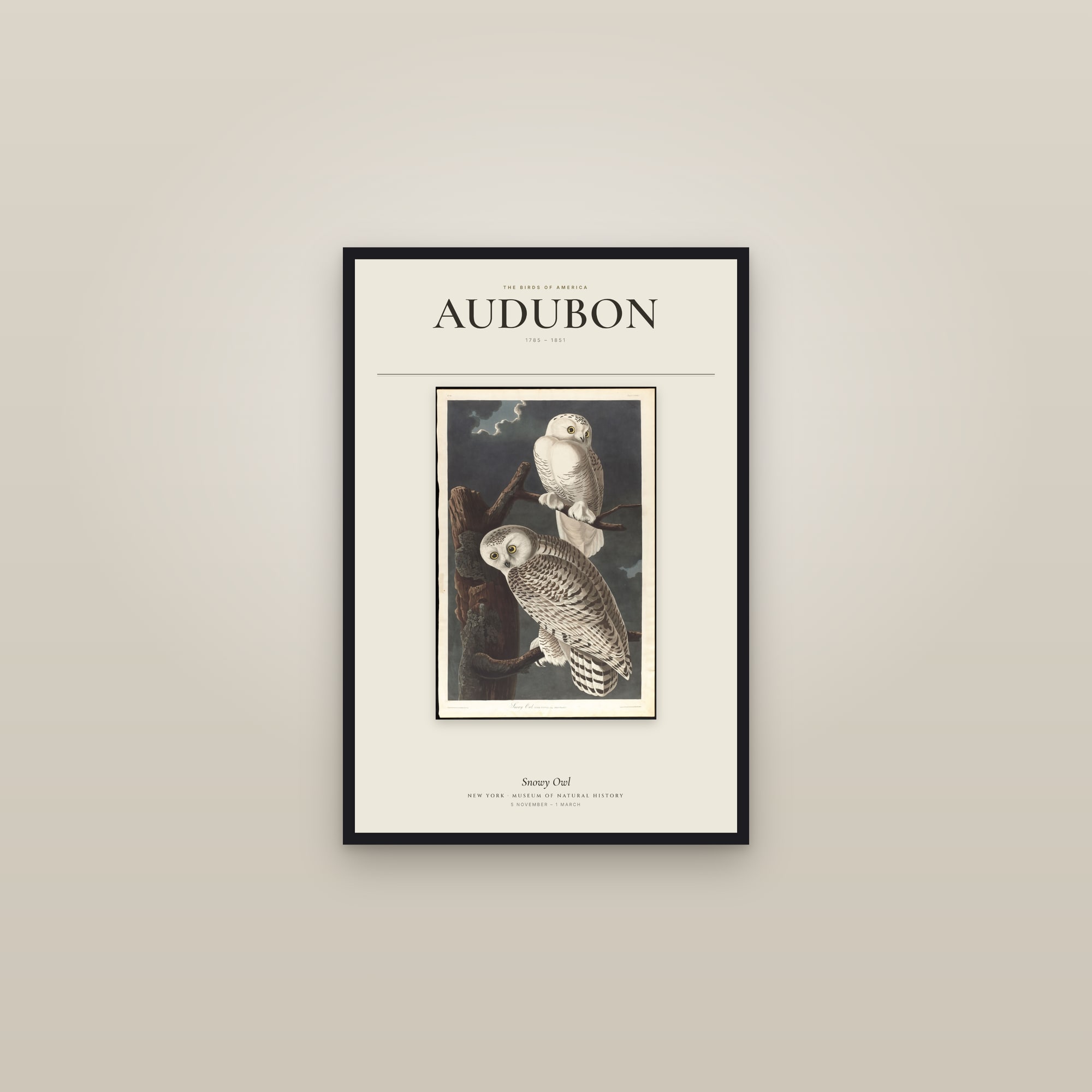 Snowy Owl — Exhibition Poster — framed in a gallery setting