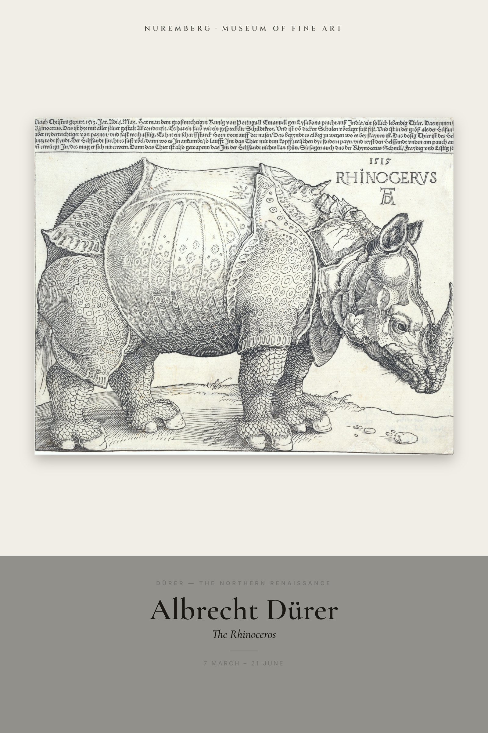 The Rhinoceros — Exhibition Poster